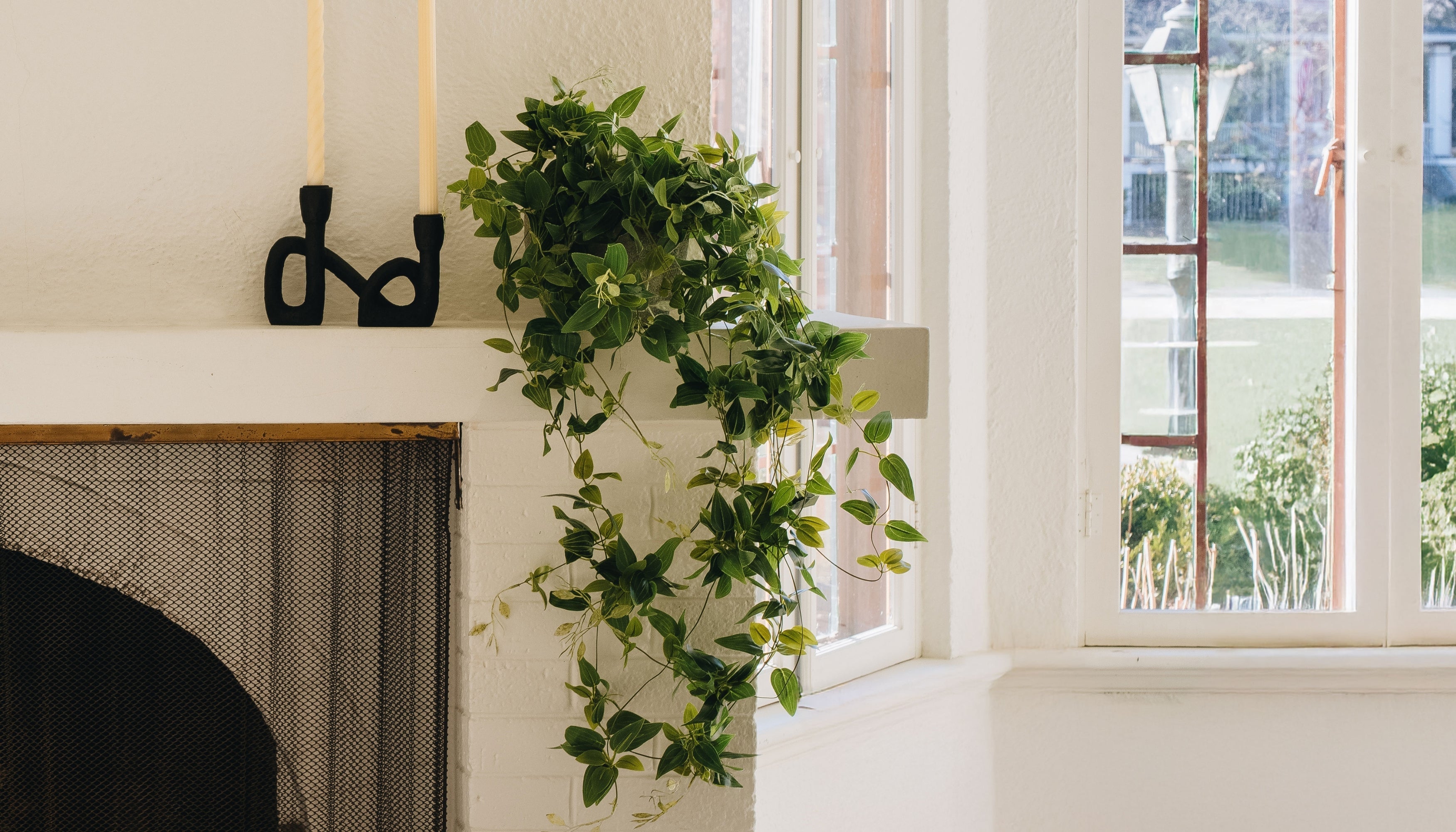 How to Decorate with Artificial Hanging Plants | Afloral