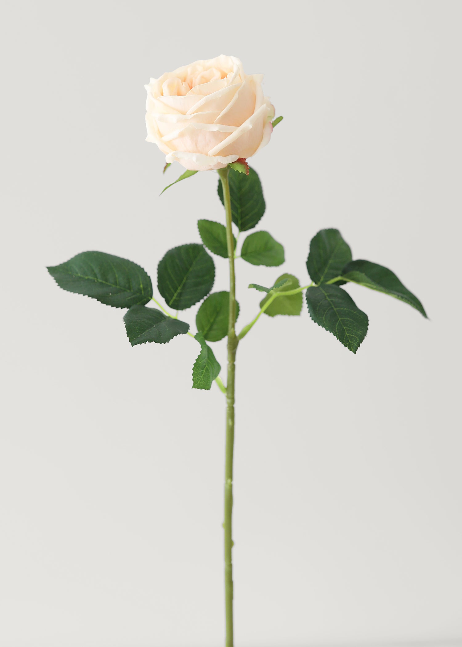 Peach Real Touch Rose