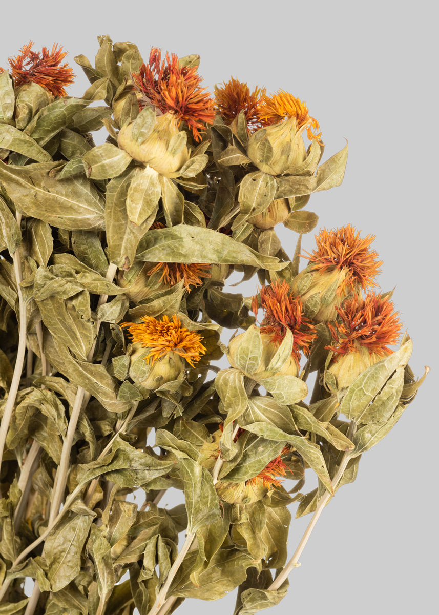 Dried Safflower