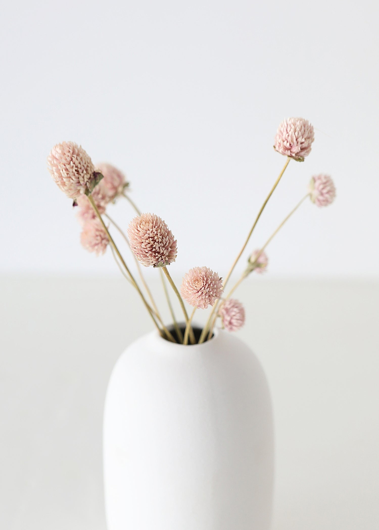 Dried Pink Amaranth