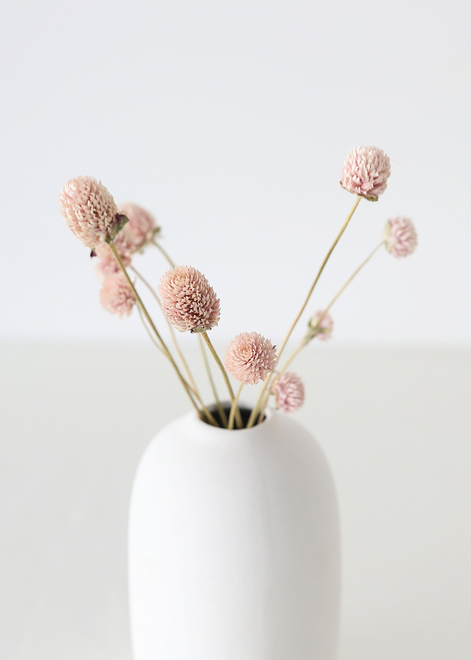 Dried Pink Amaranth