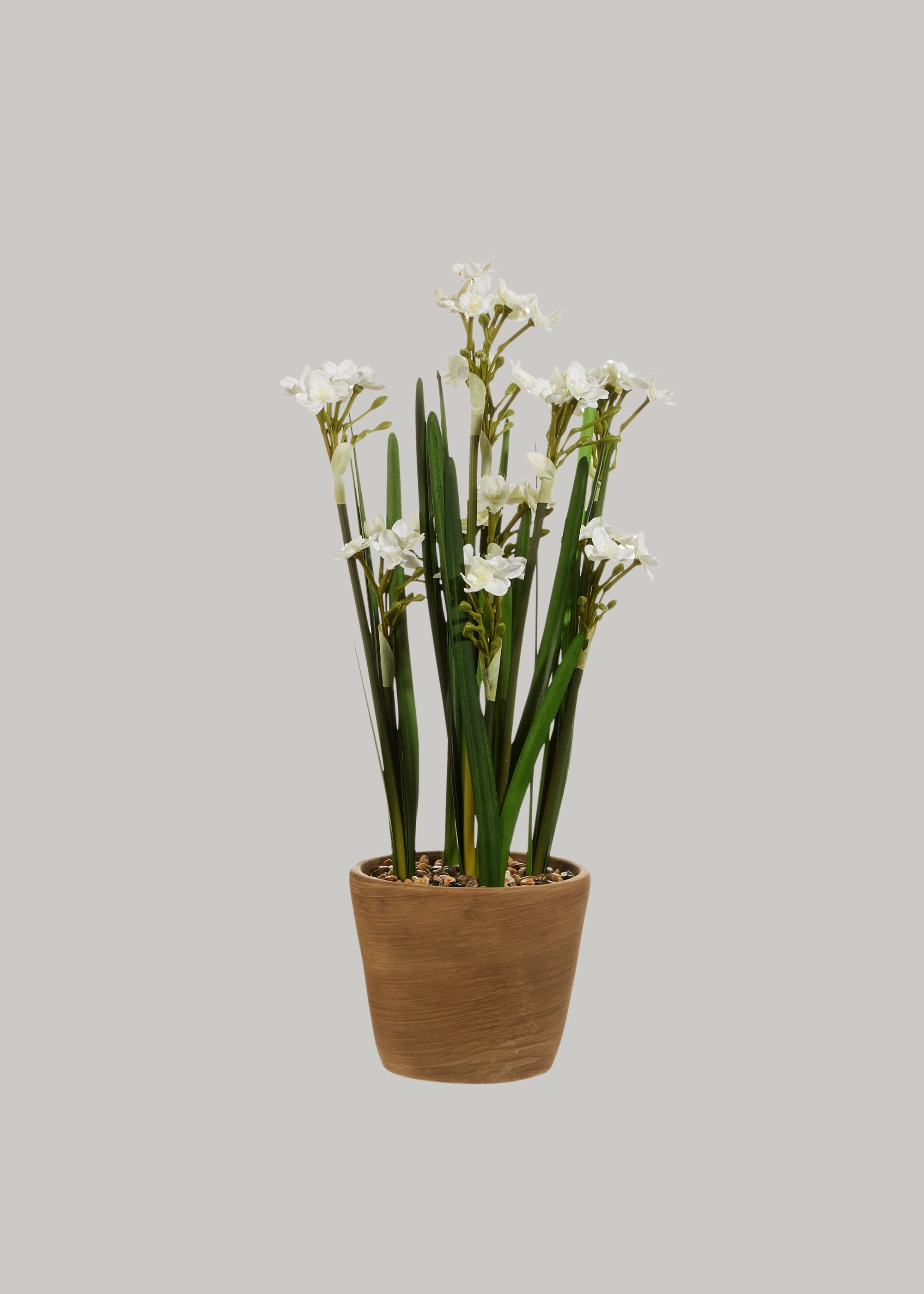 Fake Potted Paperwhite Flower Arrangement