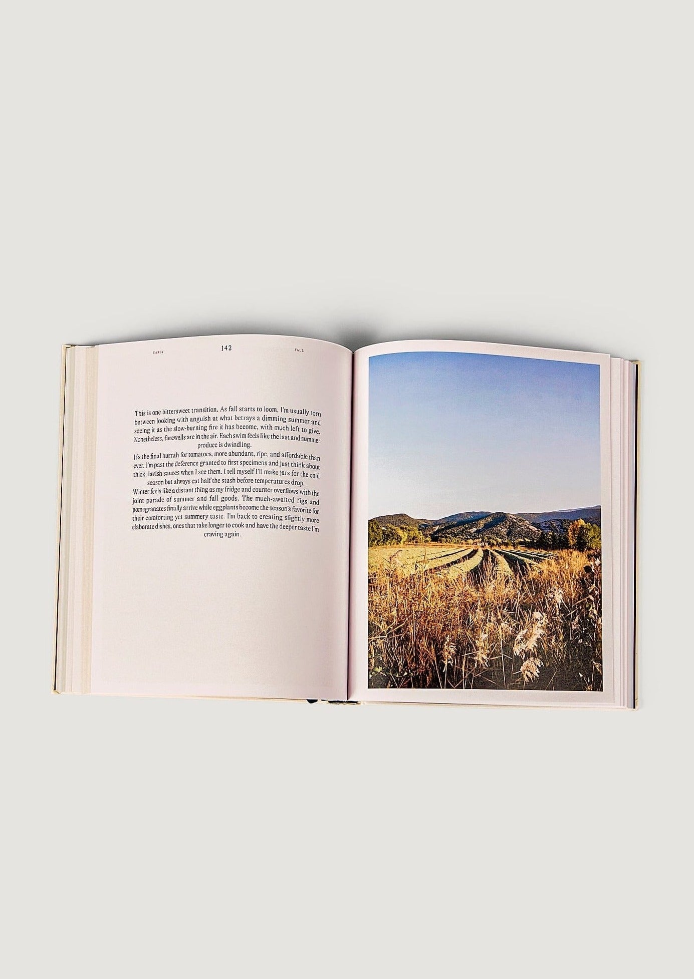 A Spoonful Of Sun Recipe Cookbook shop coffee table books at Afloral