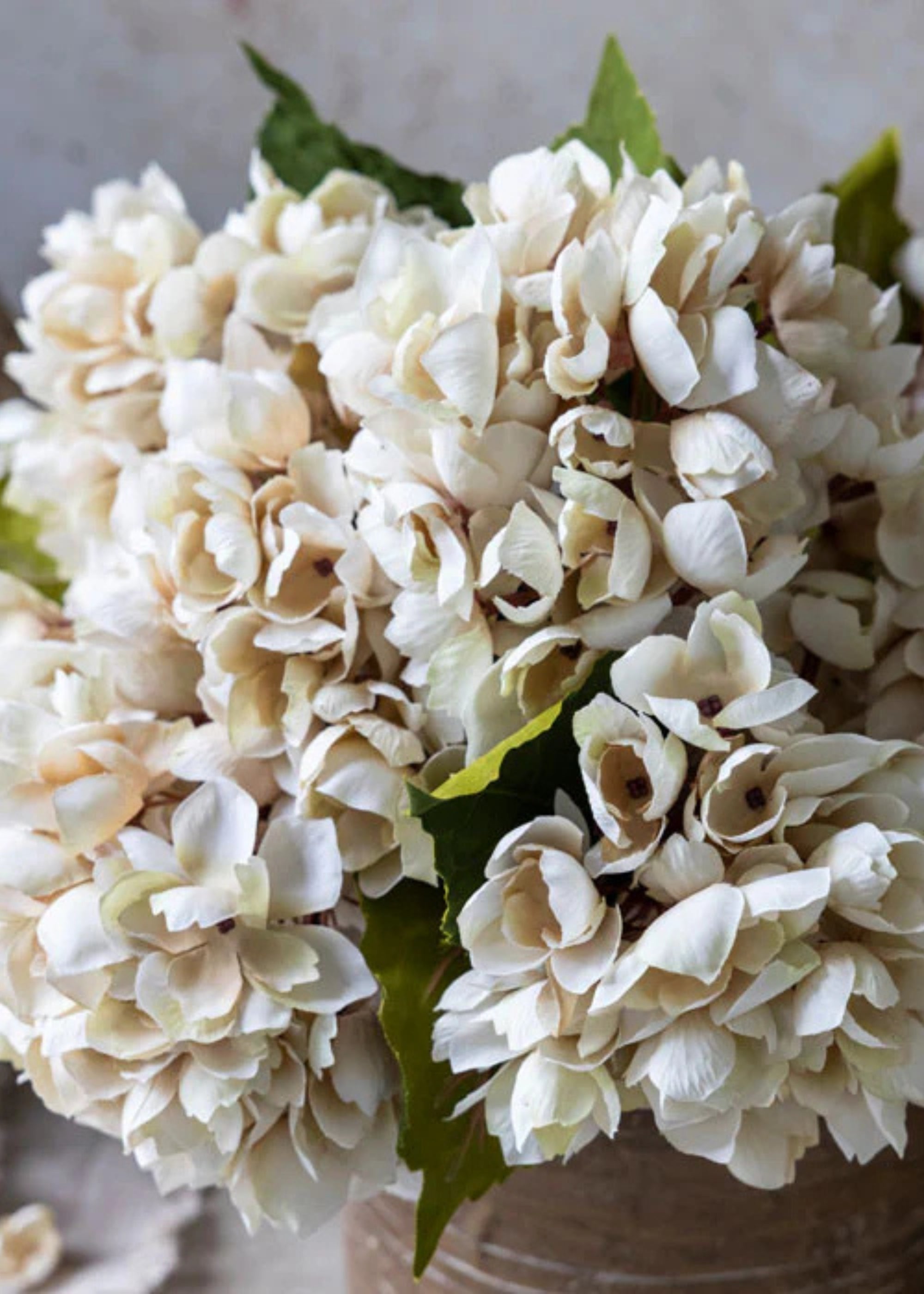 close-up of arrangement of faux beige hydrangeas