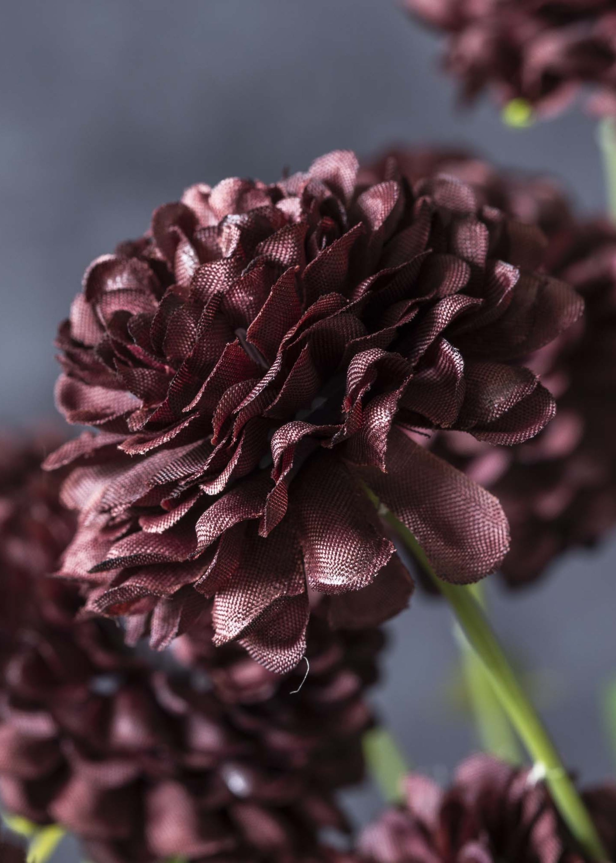 Close-up of Artificial Clove Wildflower Stem in Deep Purple