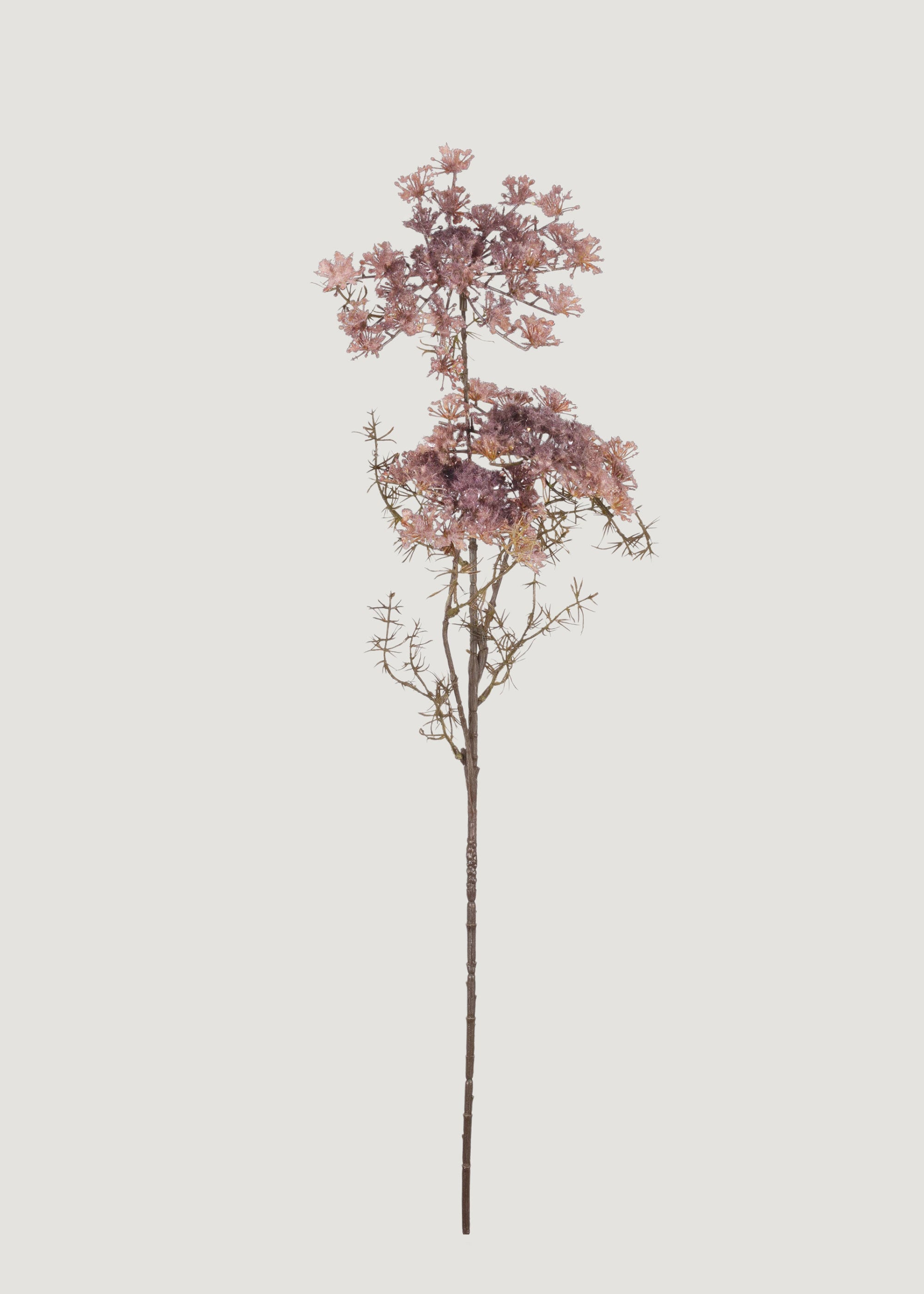 Blush Queen Anne's Lace Branch | Lifelike Fake Botanicals at Afloral