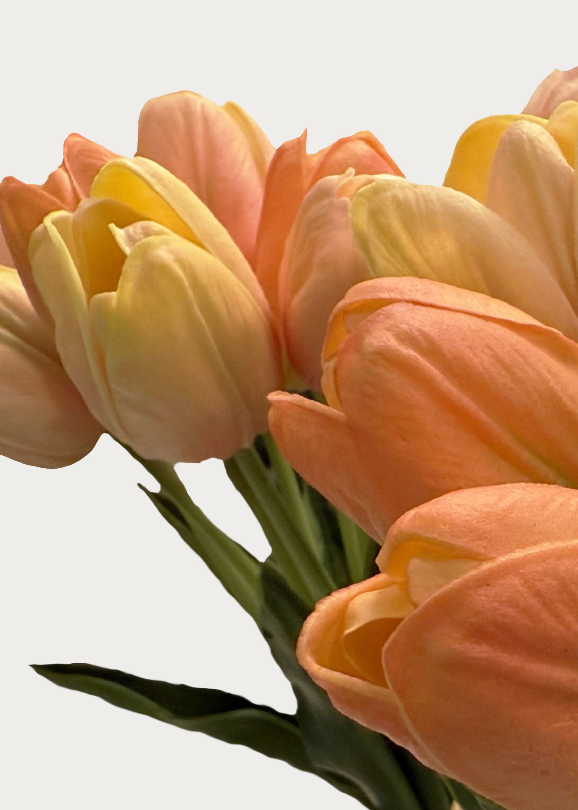 Real Touch Tulips in Yellow Pink Pastel