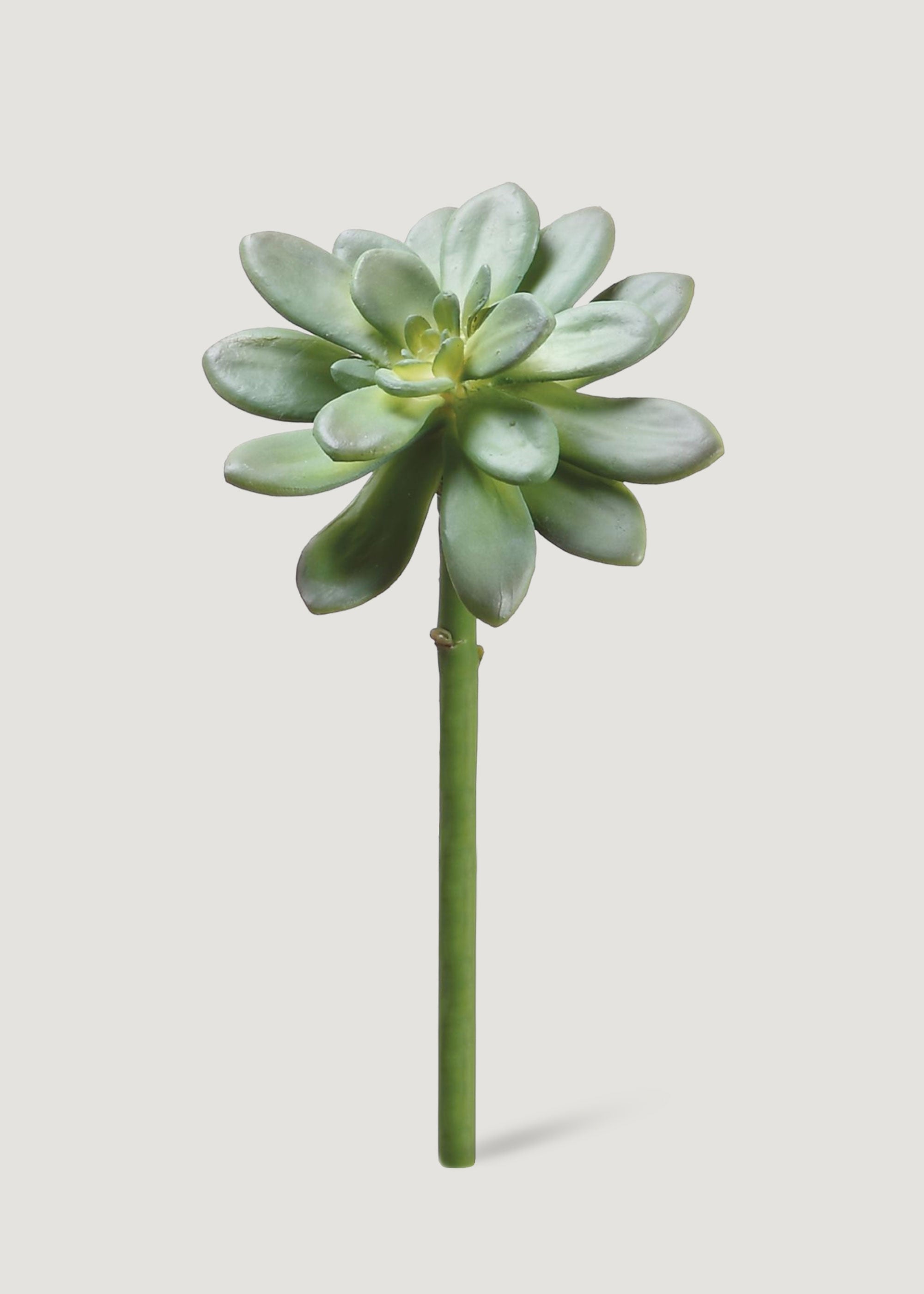 faux succulent plants uk 10" Echeveria Artificial Stem Pick -Green (Pack of 12)