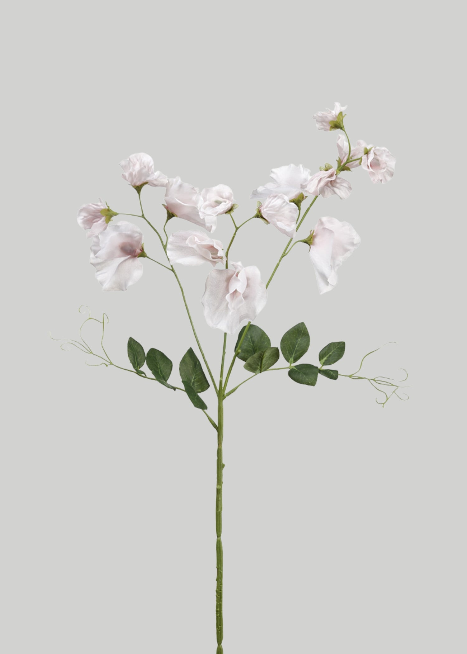 Cream Faux Sweet Pea Wildflowers