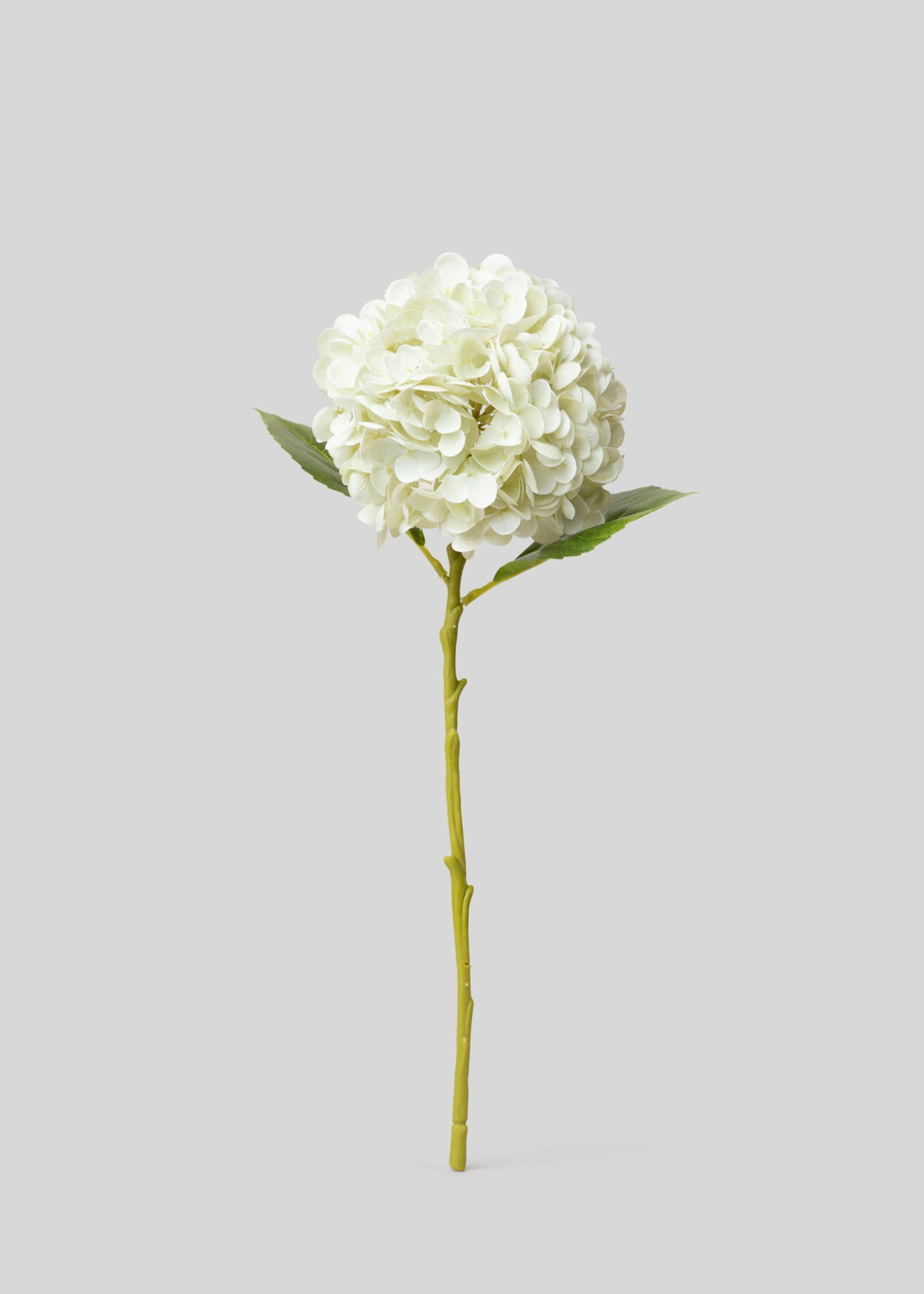 Real Touch Cream White Hydrangea