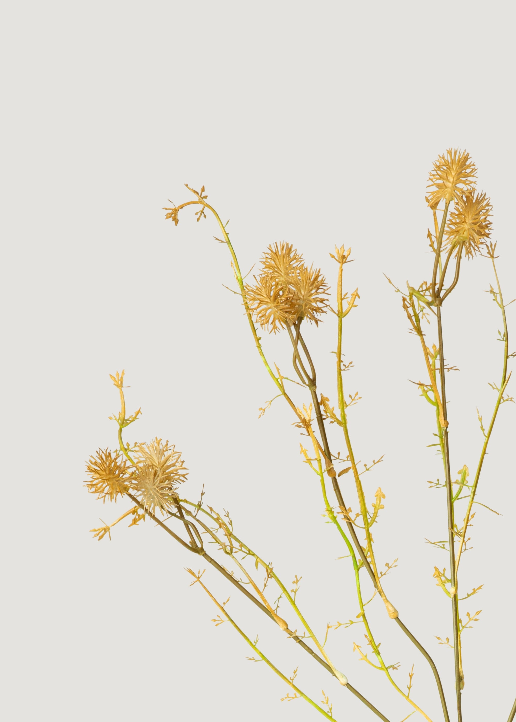 Faux Pom Pom Branch