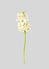 Cream Artificial Cymbidium Orchid