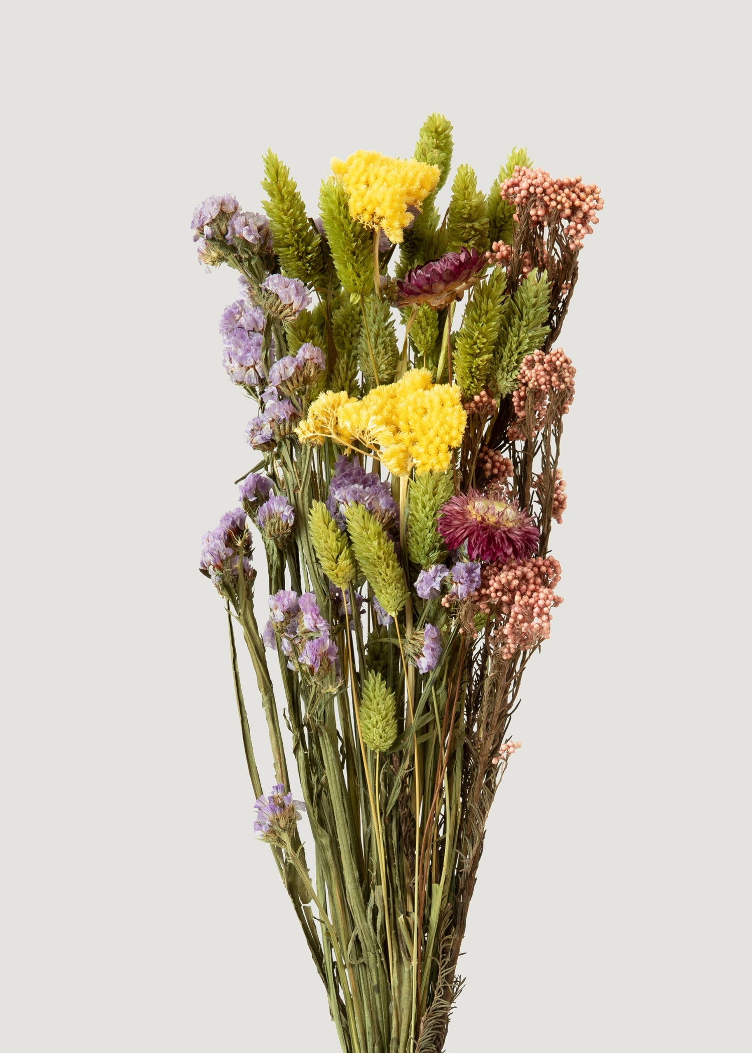 Pink and Purple Preserved Flower Bundle