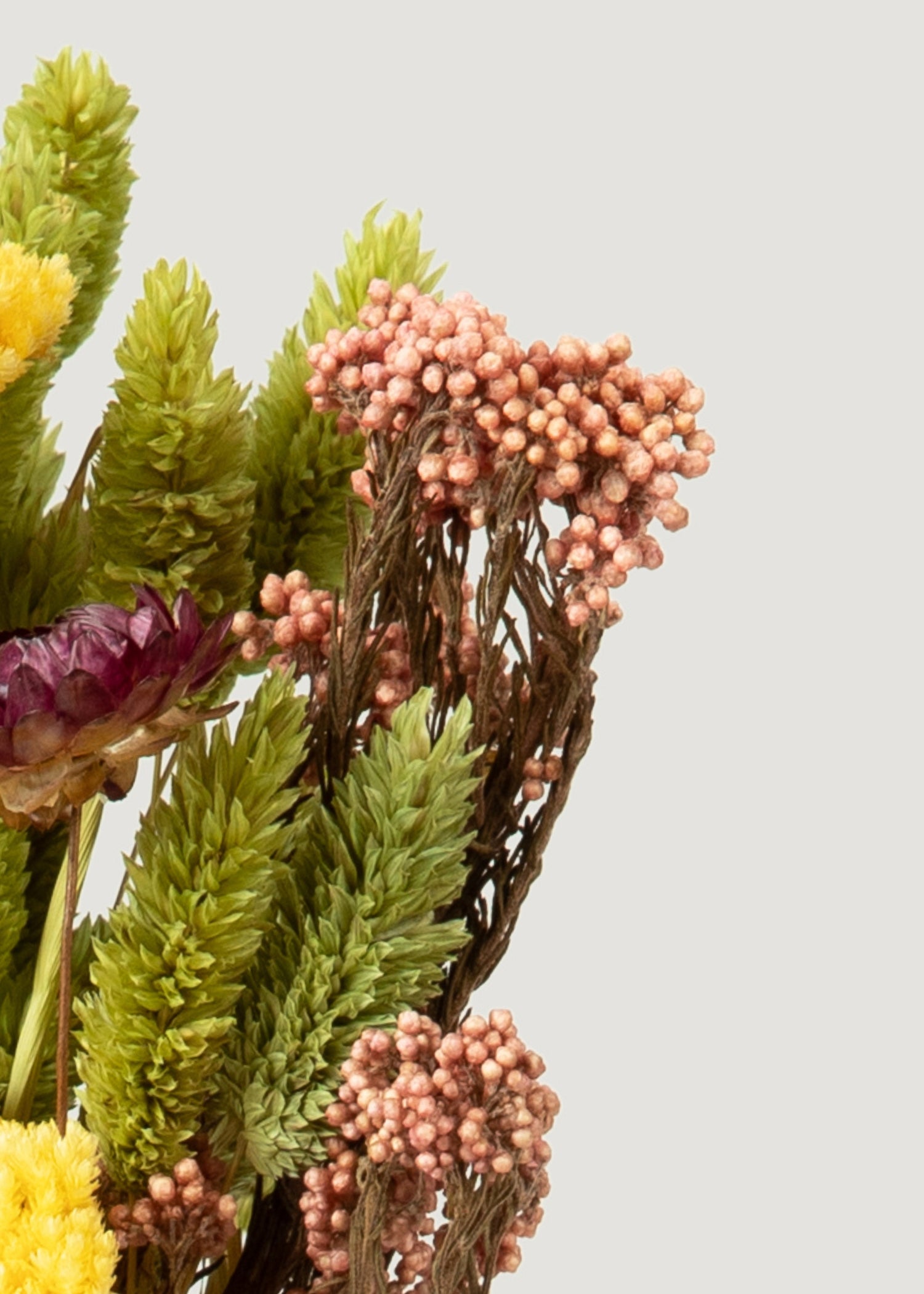 Dried Florals
