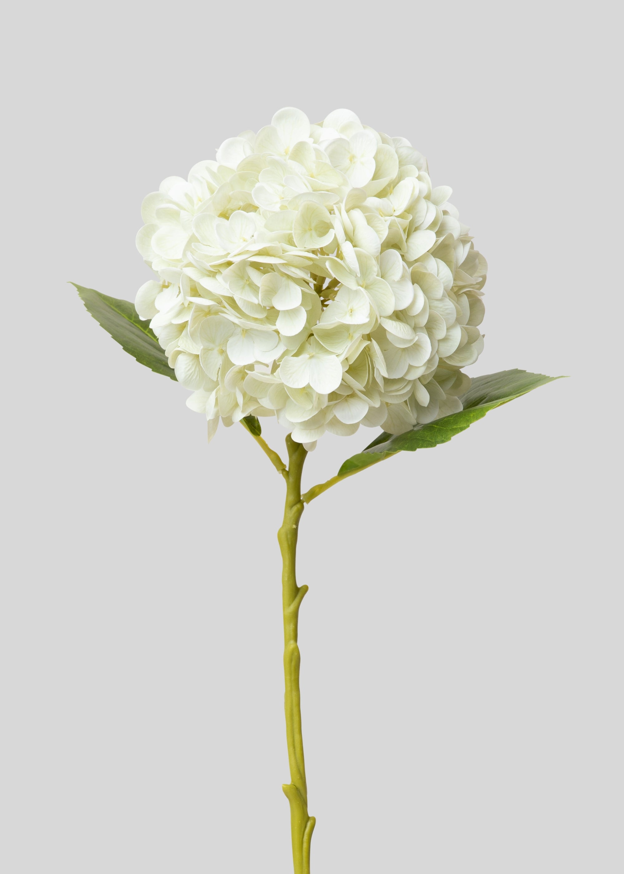 Cream White Hydrangea Real Touch Flower