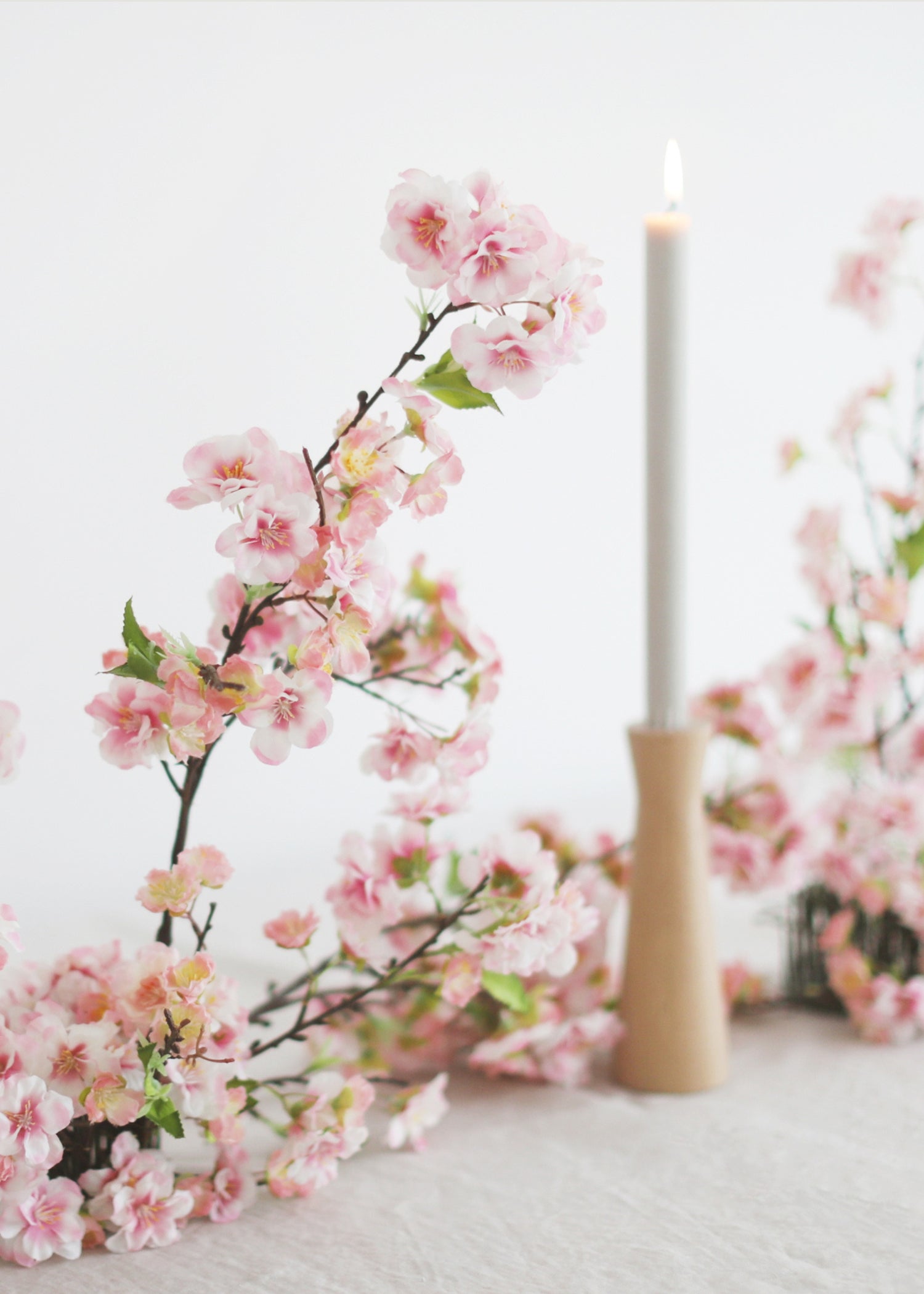 Pink Cherry Blossoms