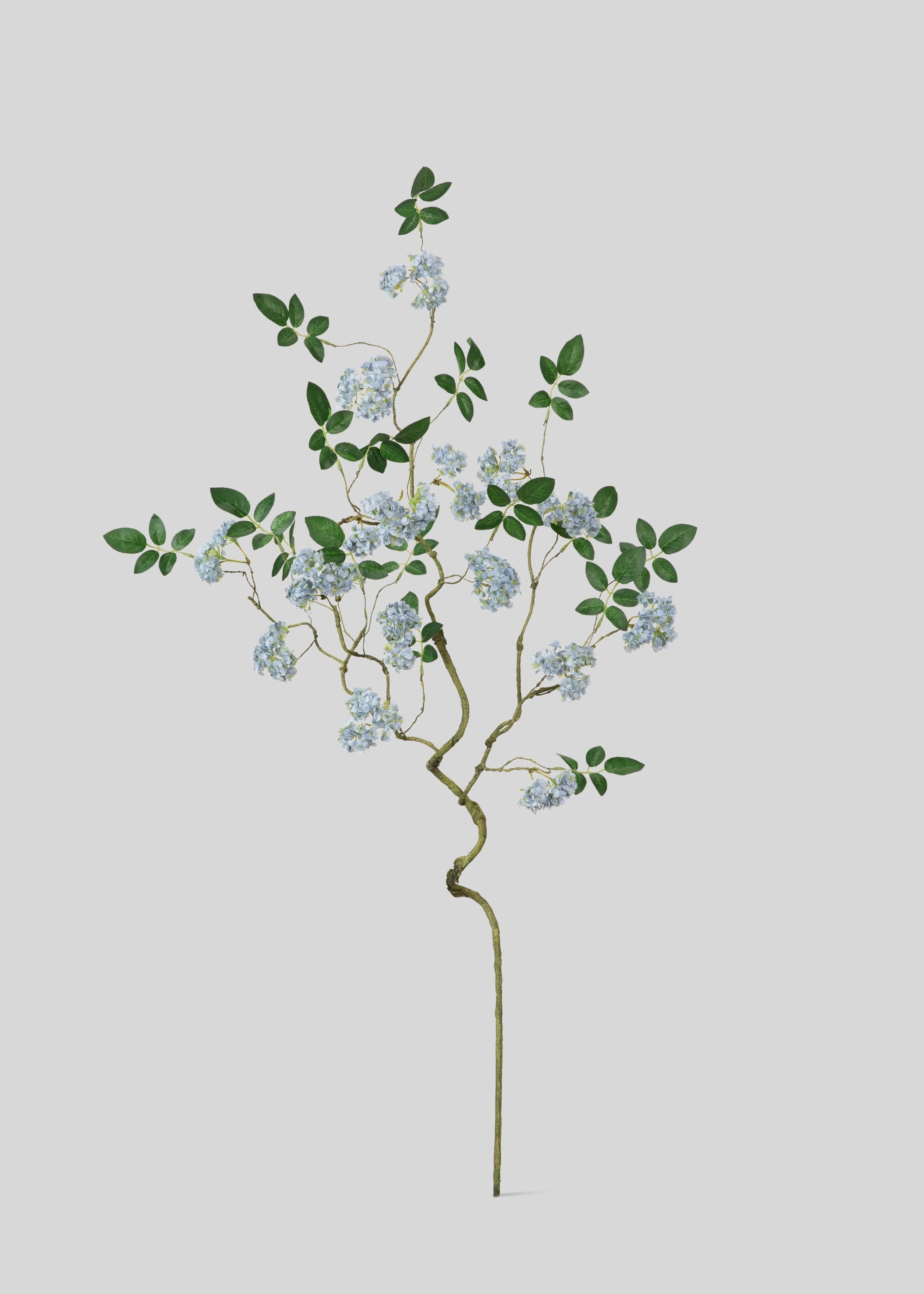 Spring Blossom Branch