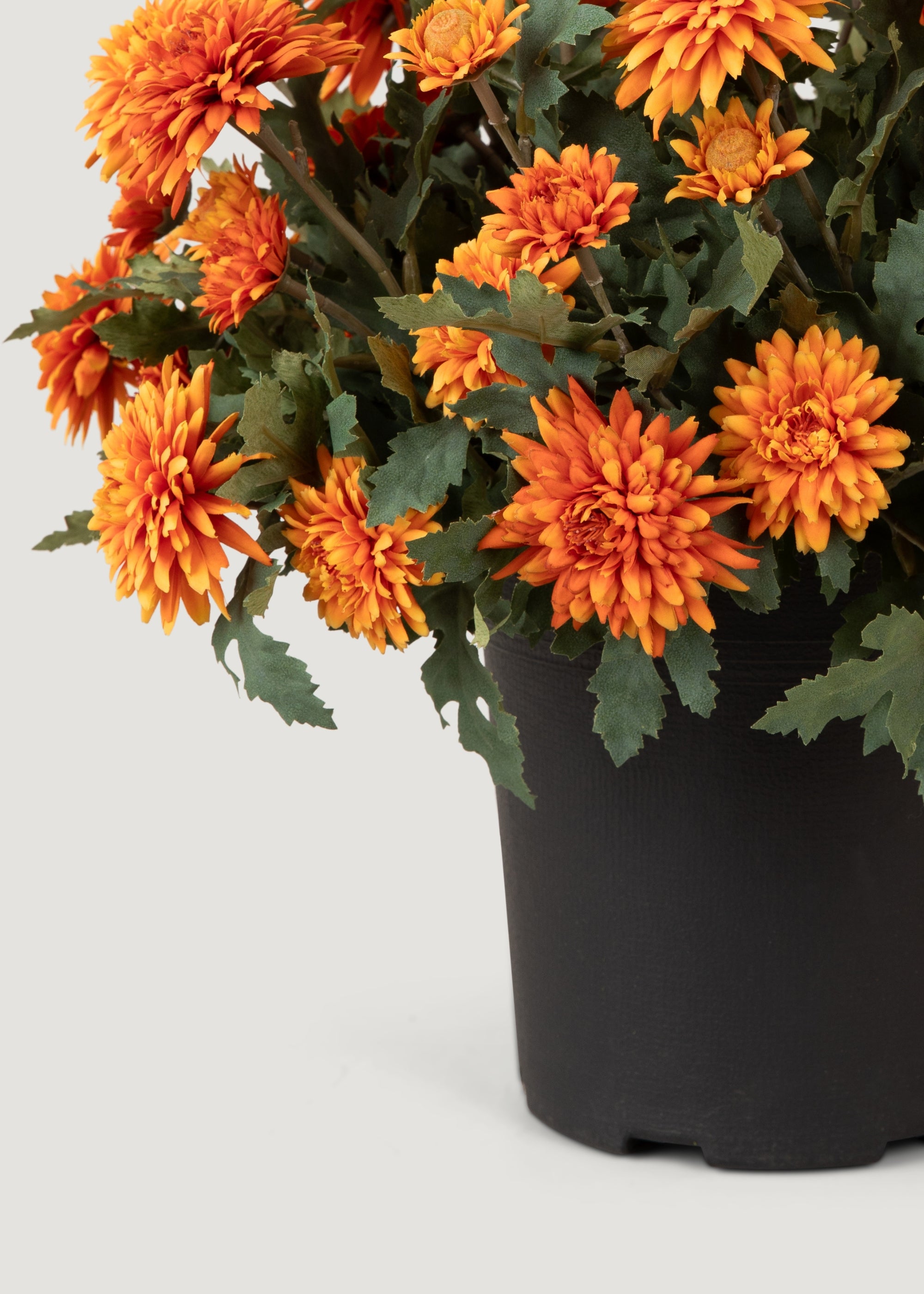 Potted Fake Mum