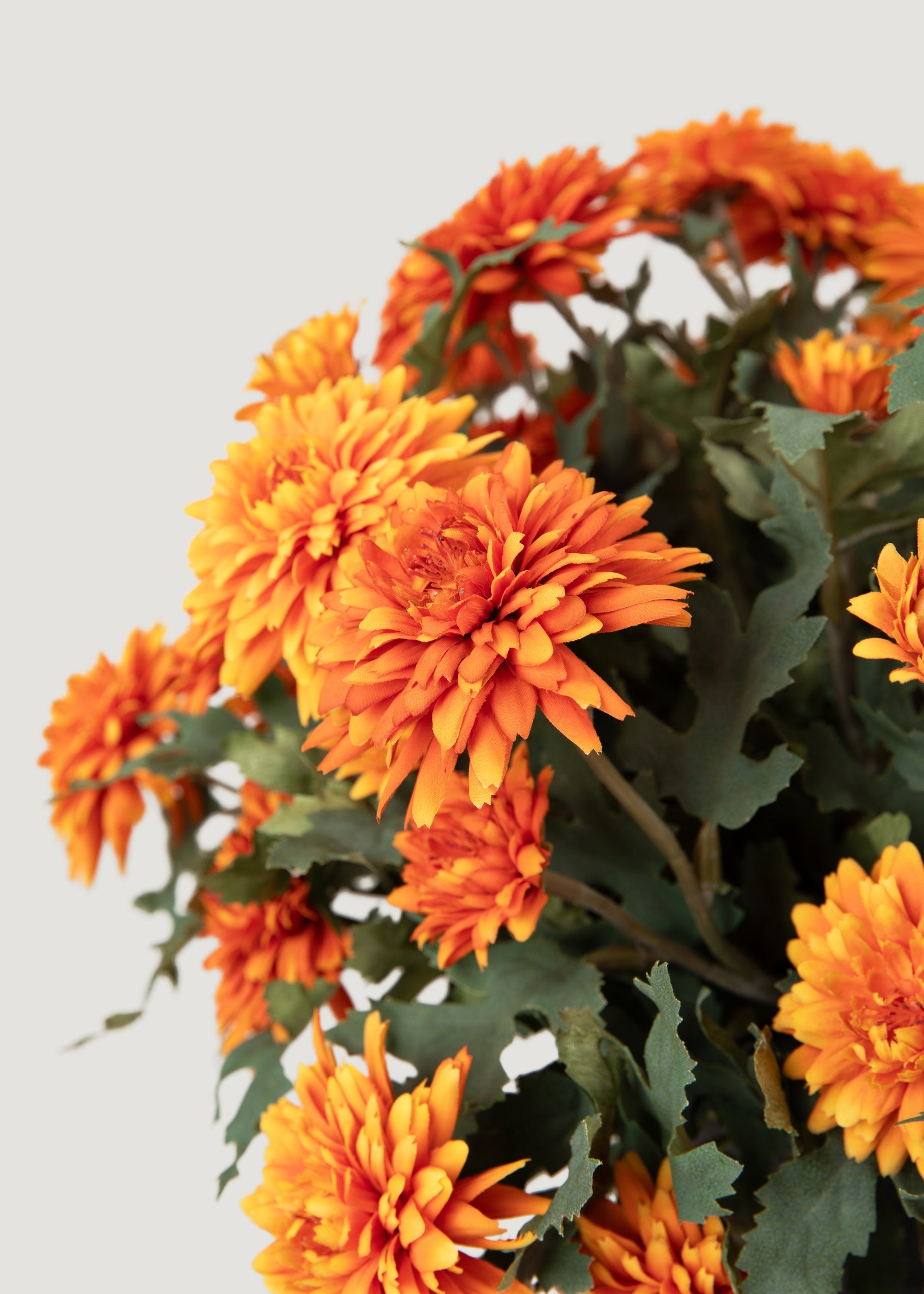 Fake Orange Mums