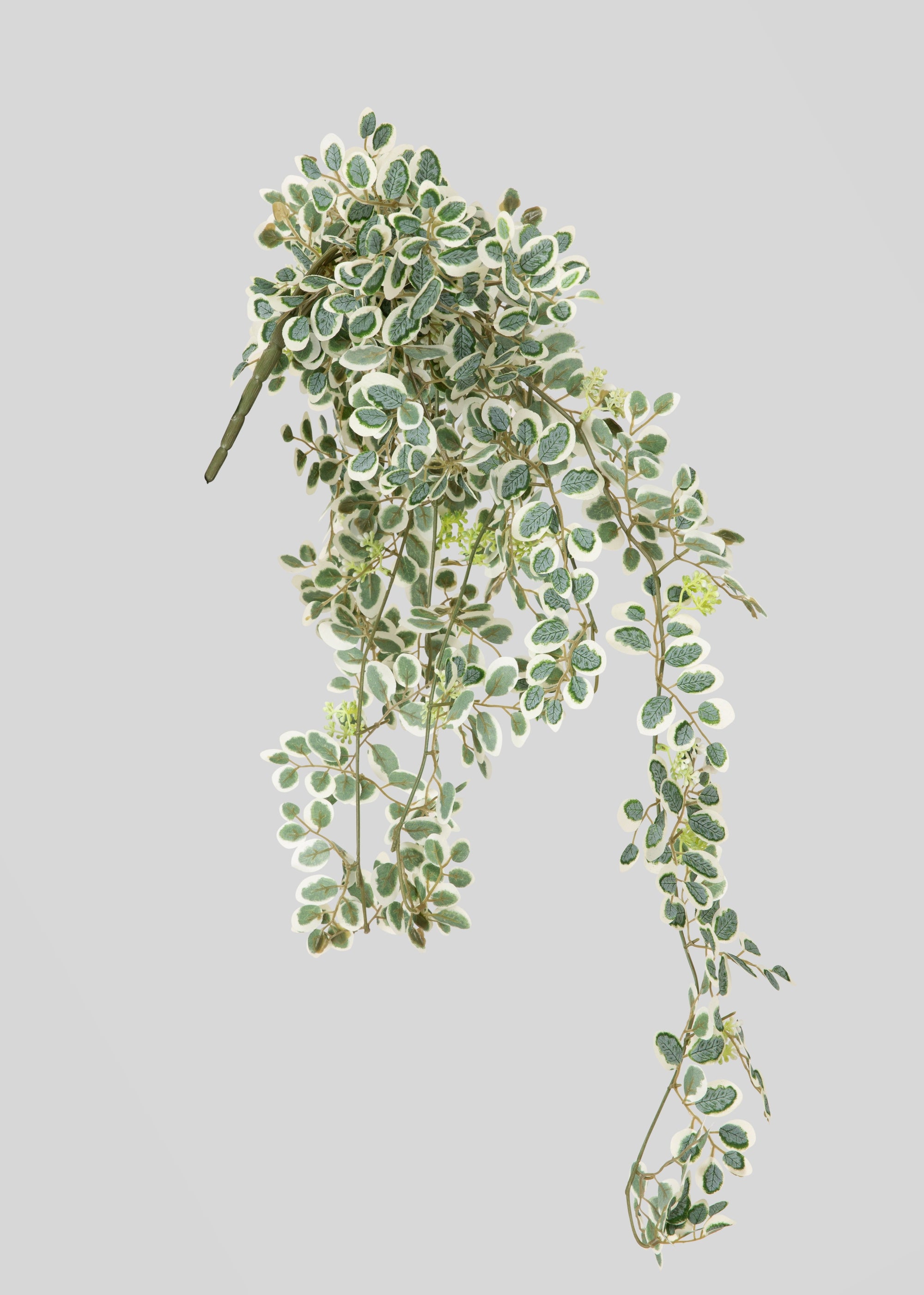 Artificial Button Leaf Hanging Plant