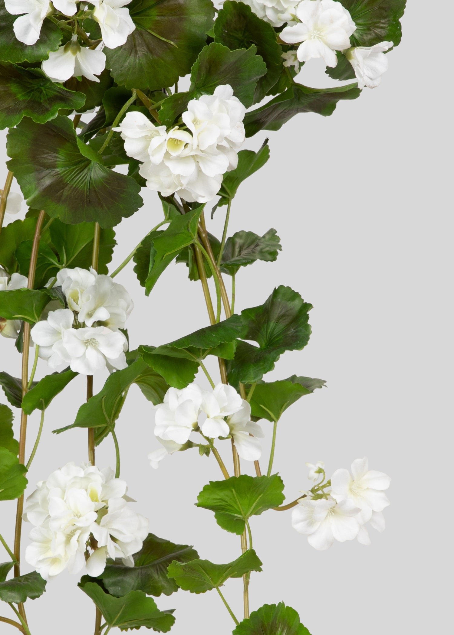 Fake White Hanging Geraniums