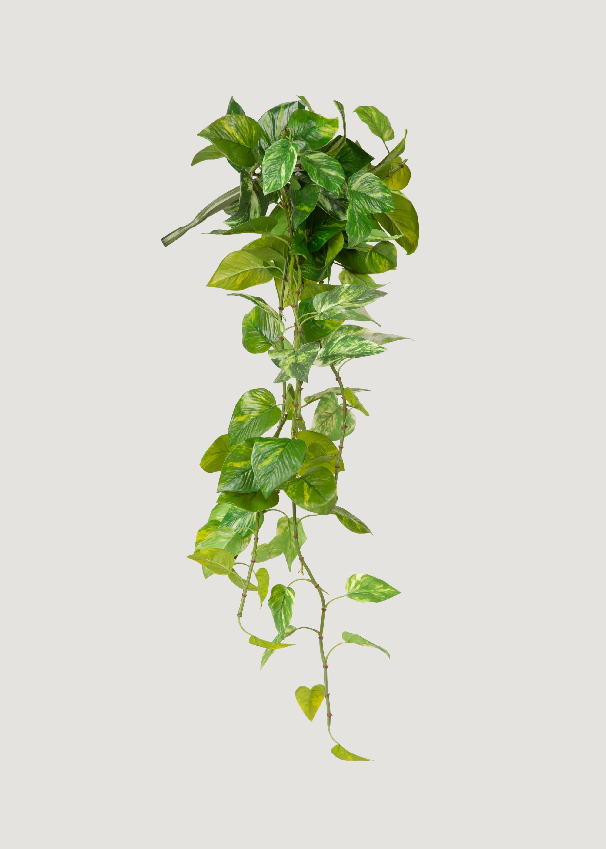 Fake Natural Touch Pothos Hanging Plant