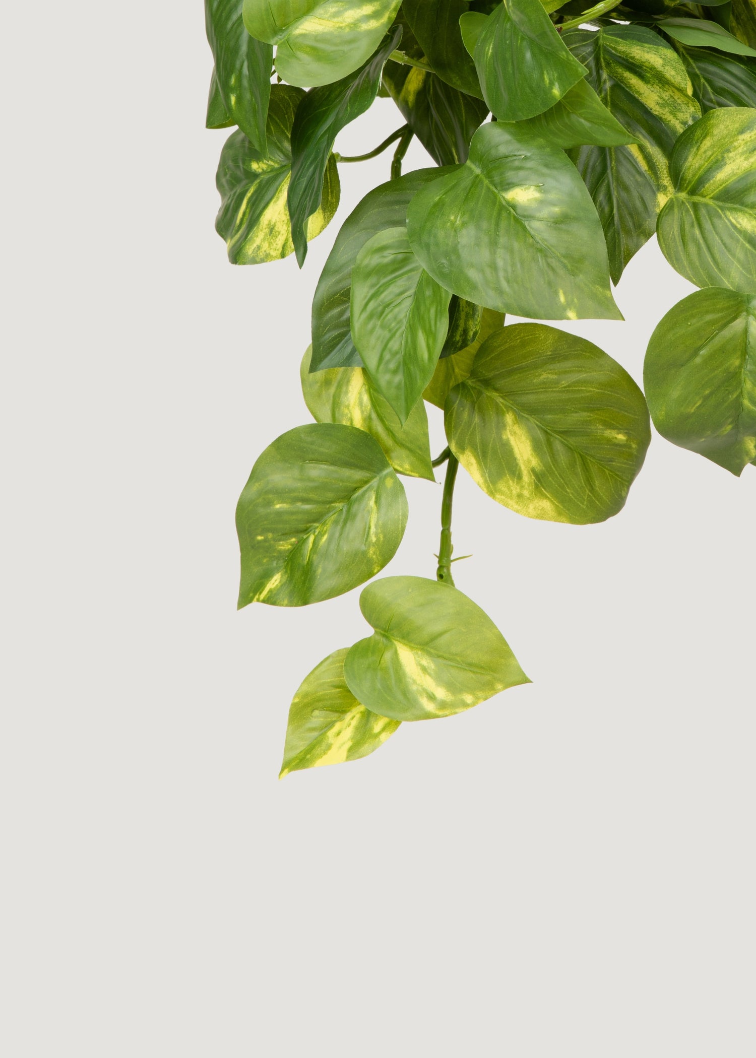 Fake Hanging Pothos Plant