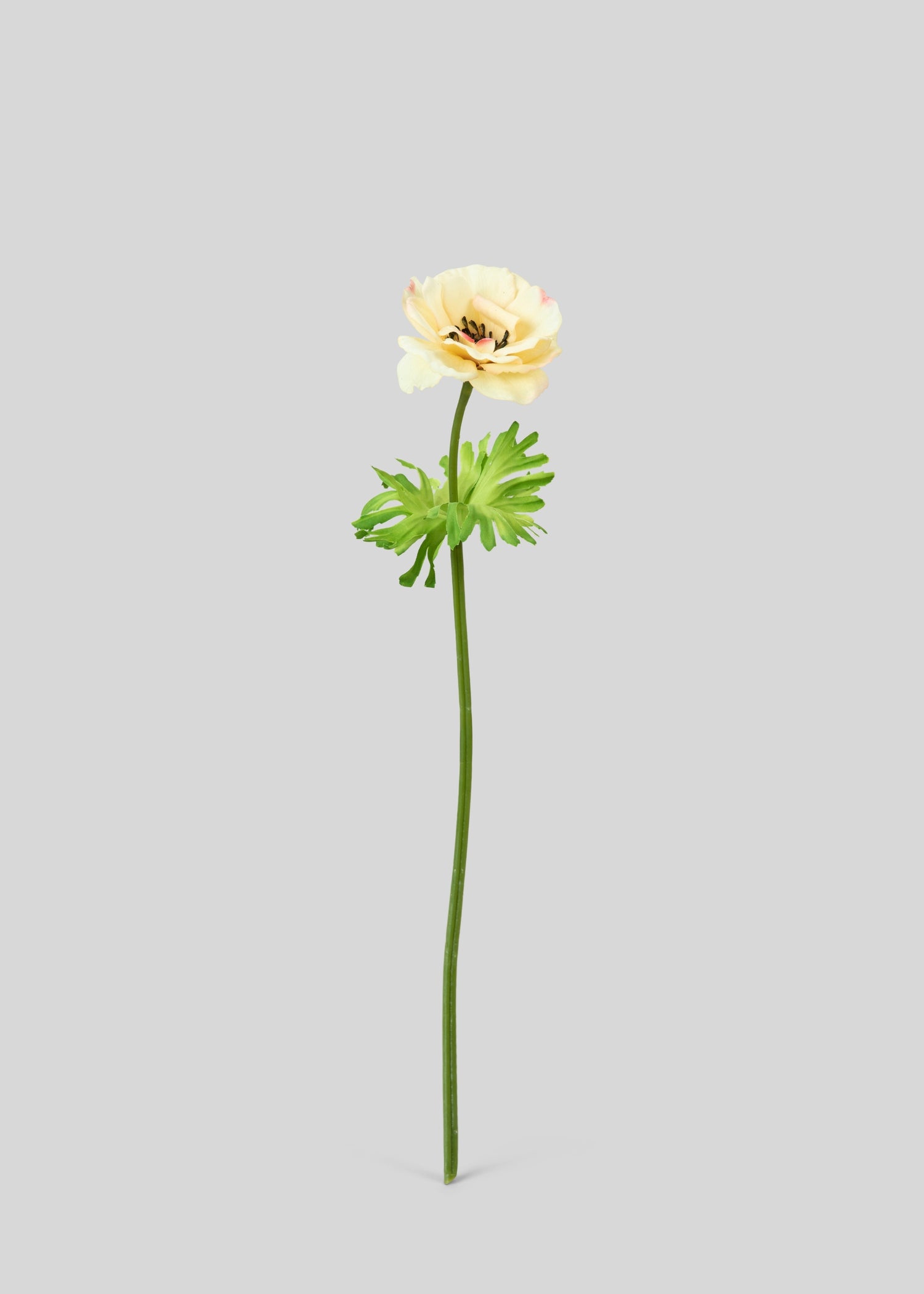 Artificial Buttercup