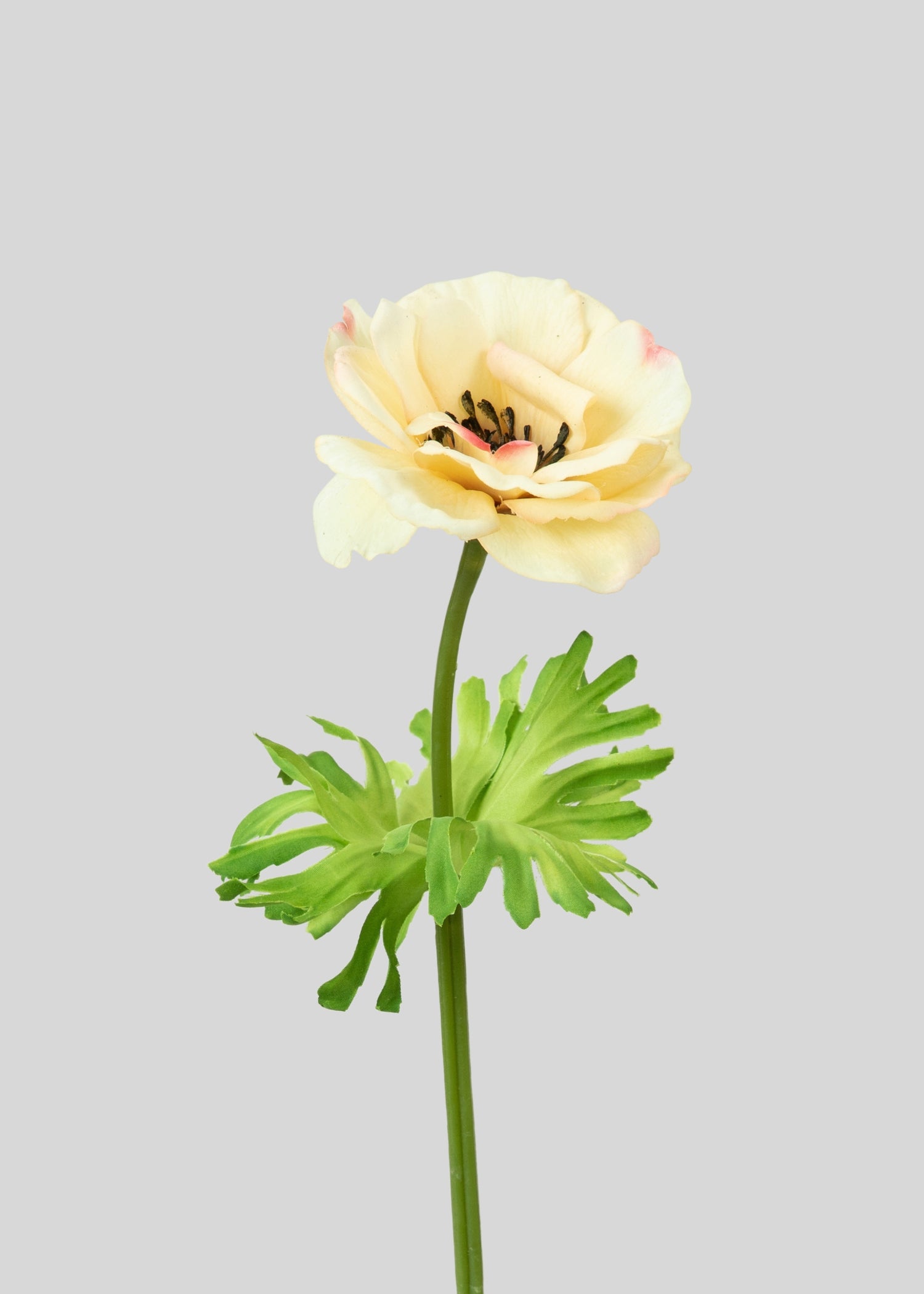 Yellow Real Touch Buttercup