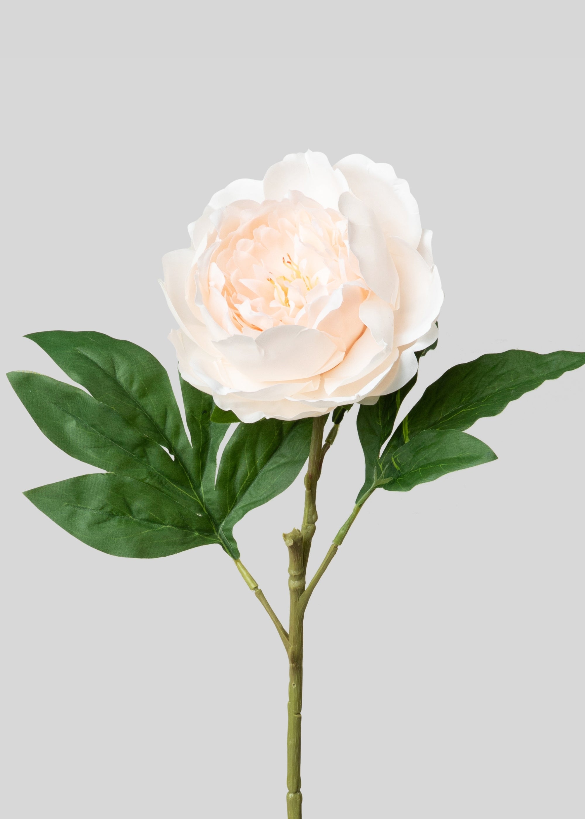 Blush Pink Faux Peony