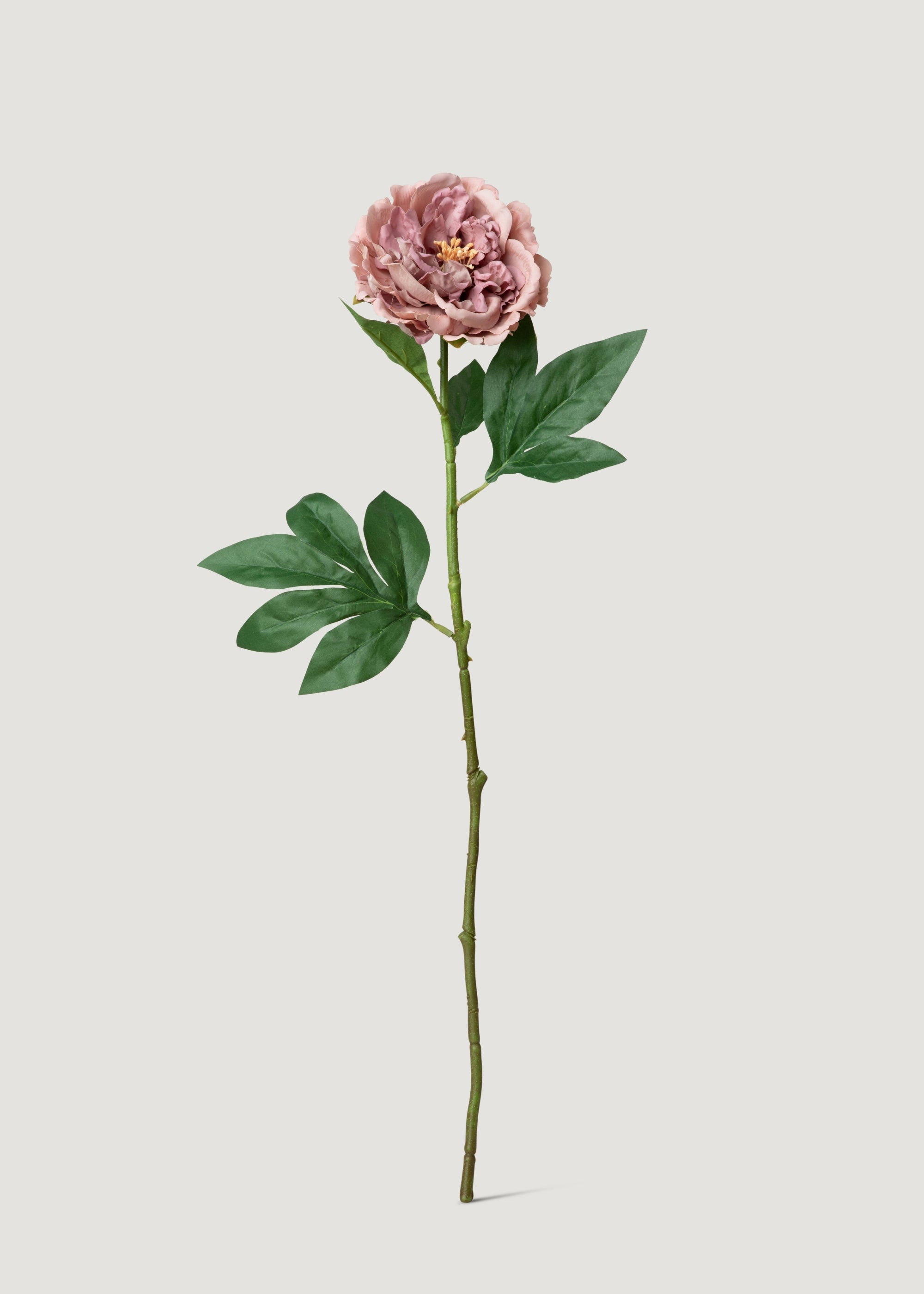 Fake Mauve Peony