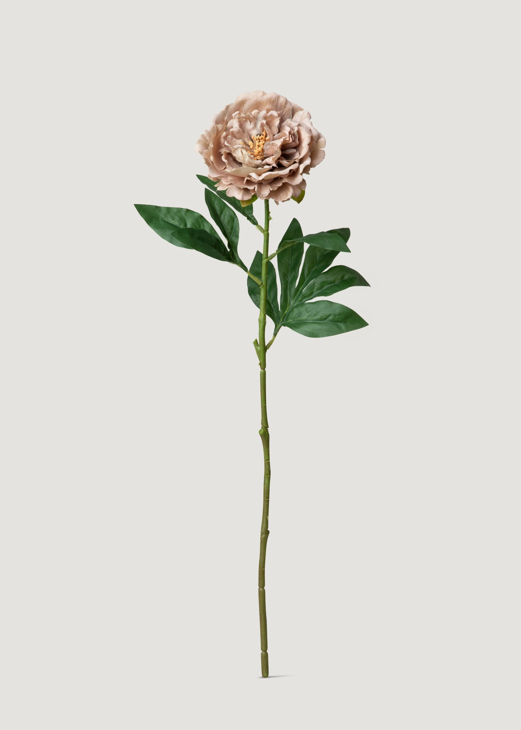 Mauve Taupe Real Touch Peony