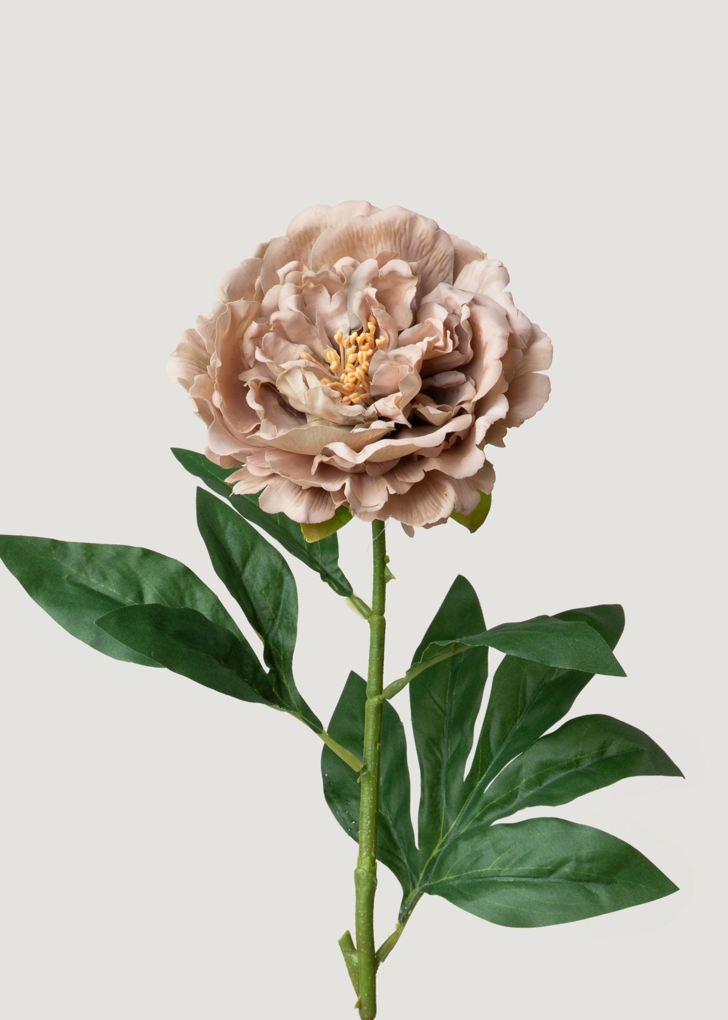 Real Touch Peony in Mauve Taupe