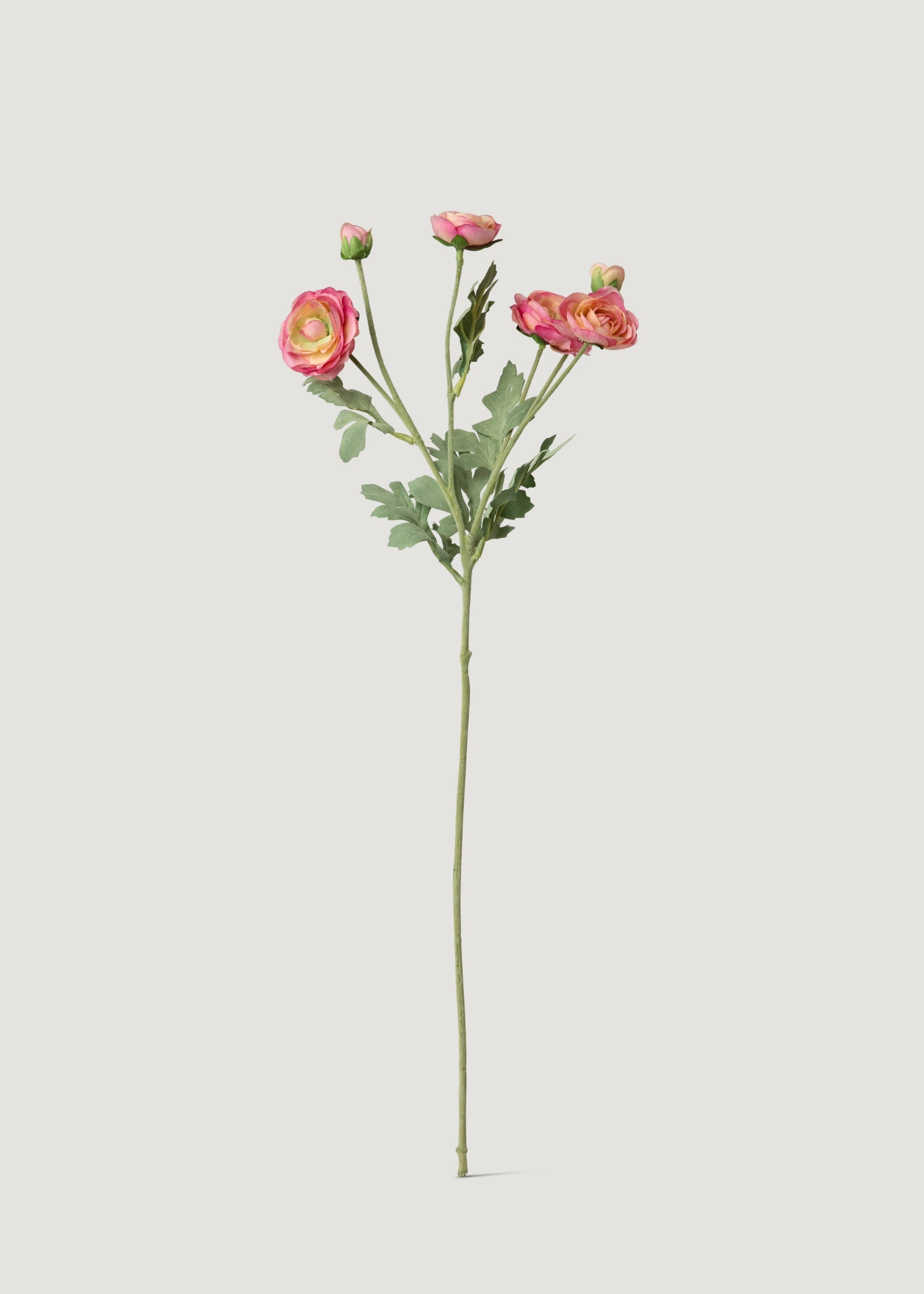 Faux Ranunculus Flowers in Pink