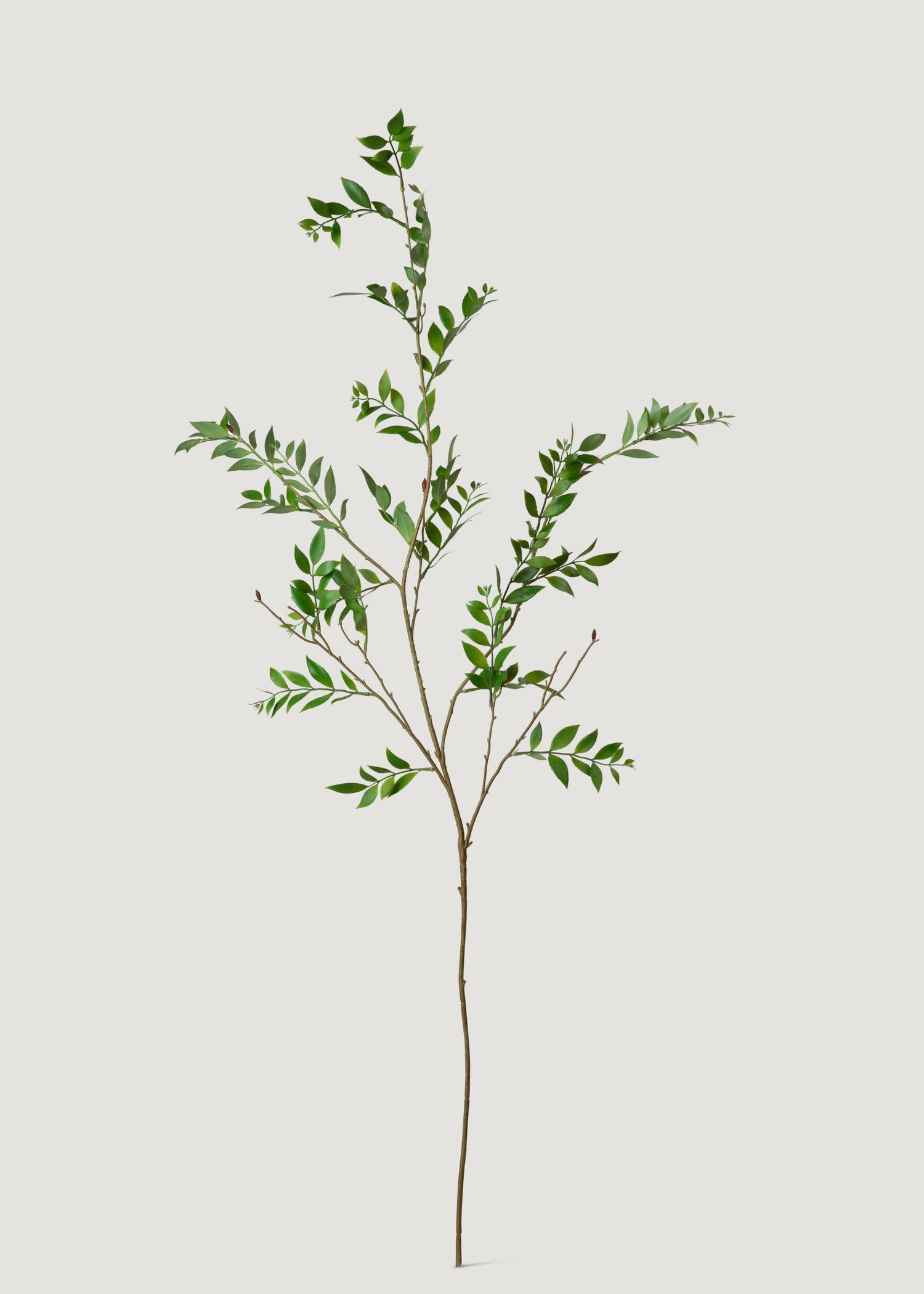 Faux Broadleaf Podocarpus Branch