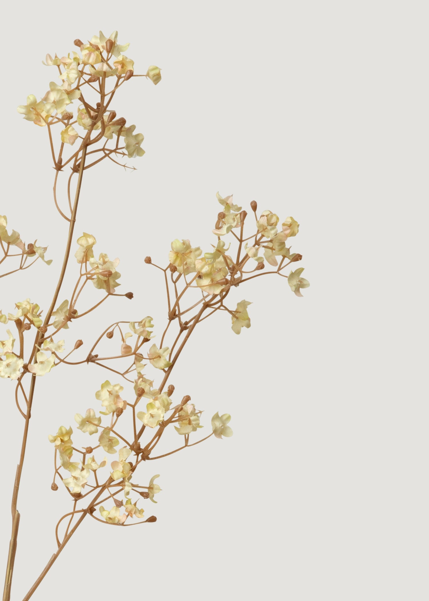 Artificial Gypsophila in Cream