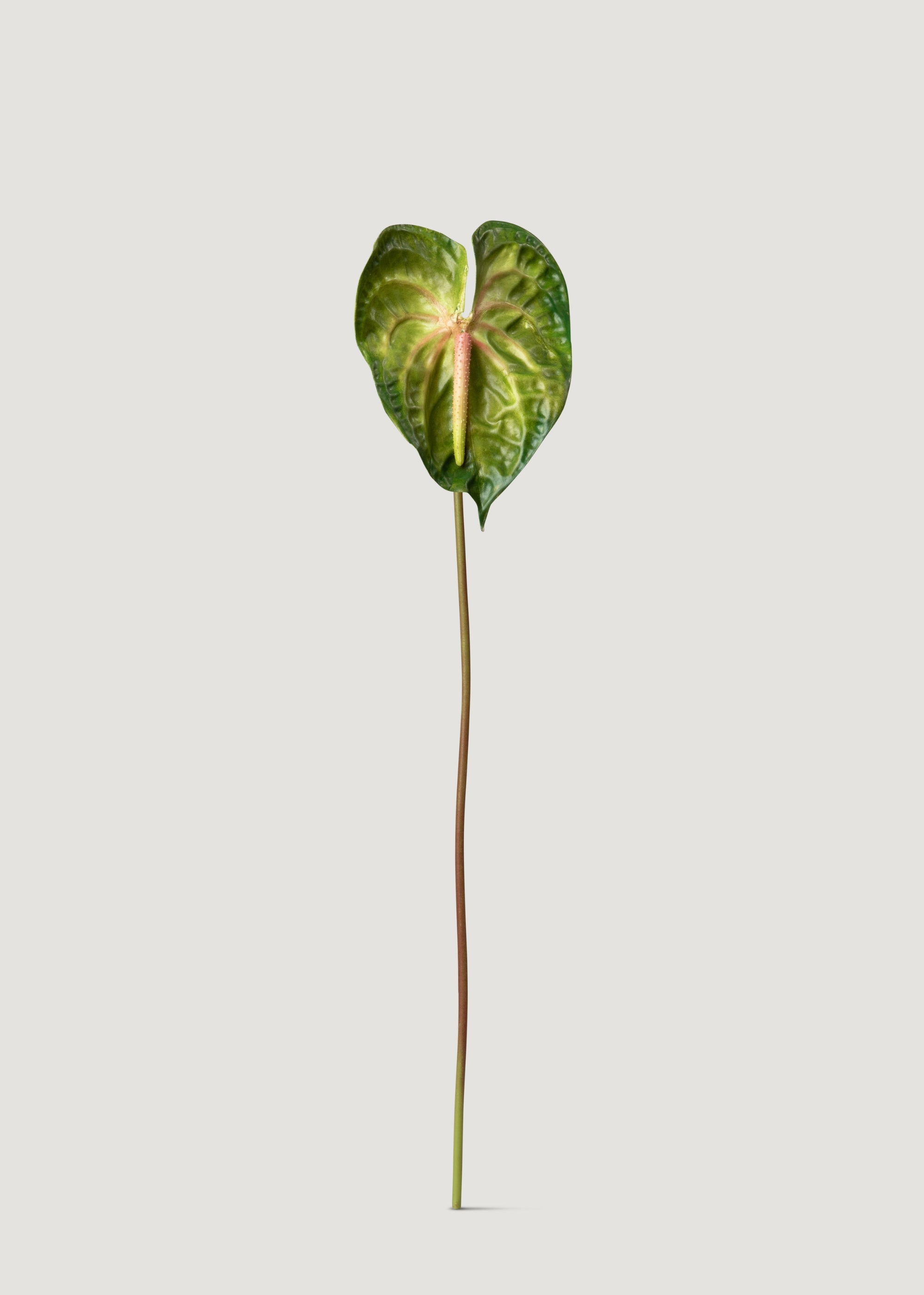 Artificial Anthurium Stem