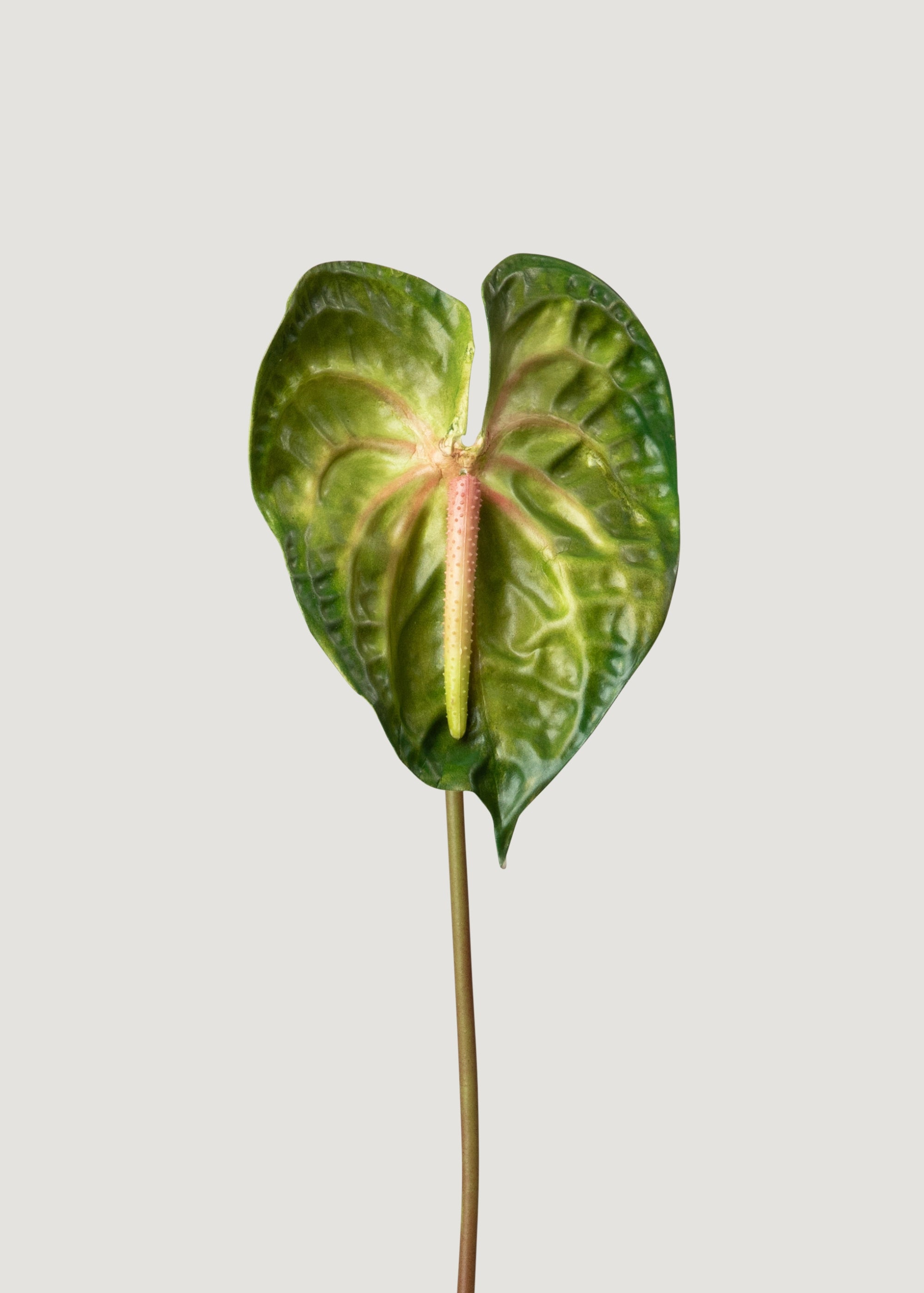 Faux Anthurium Stem