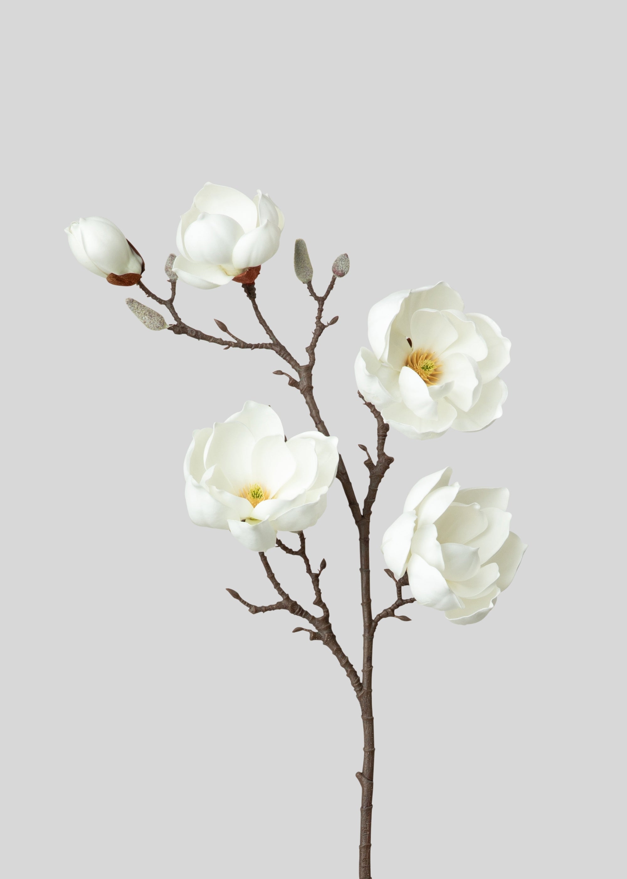 Artificial Magnolias