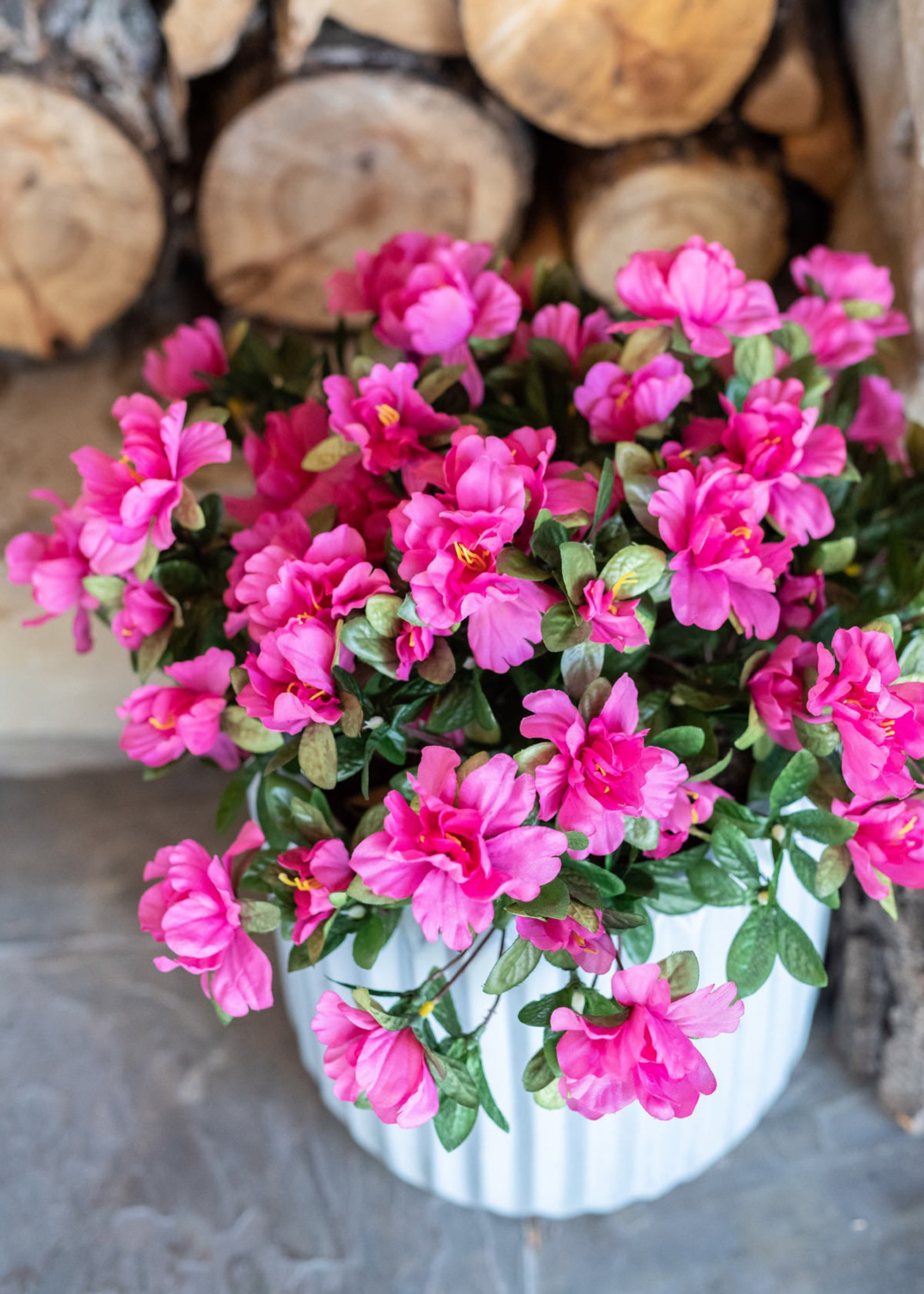 Fake Azaleas
