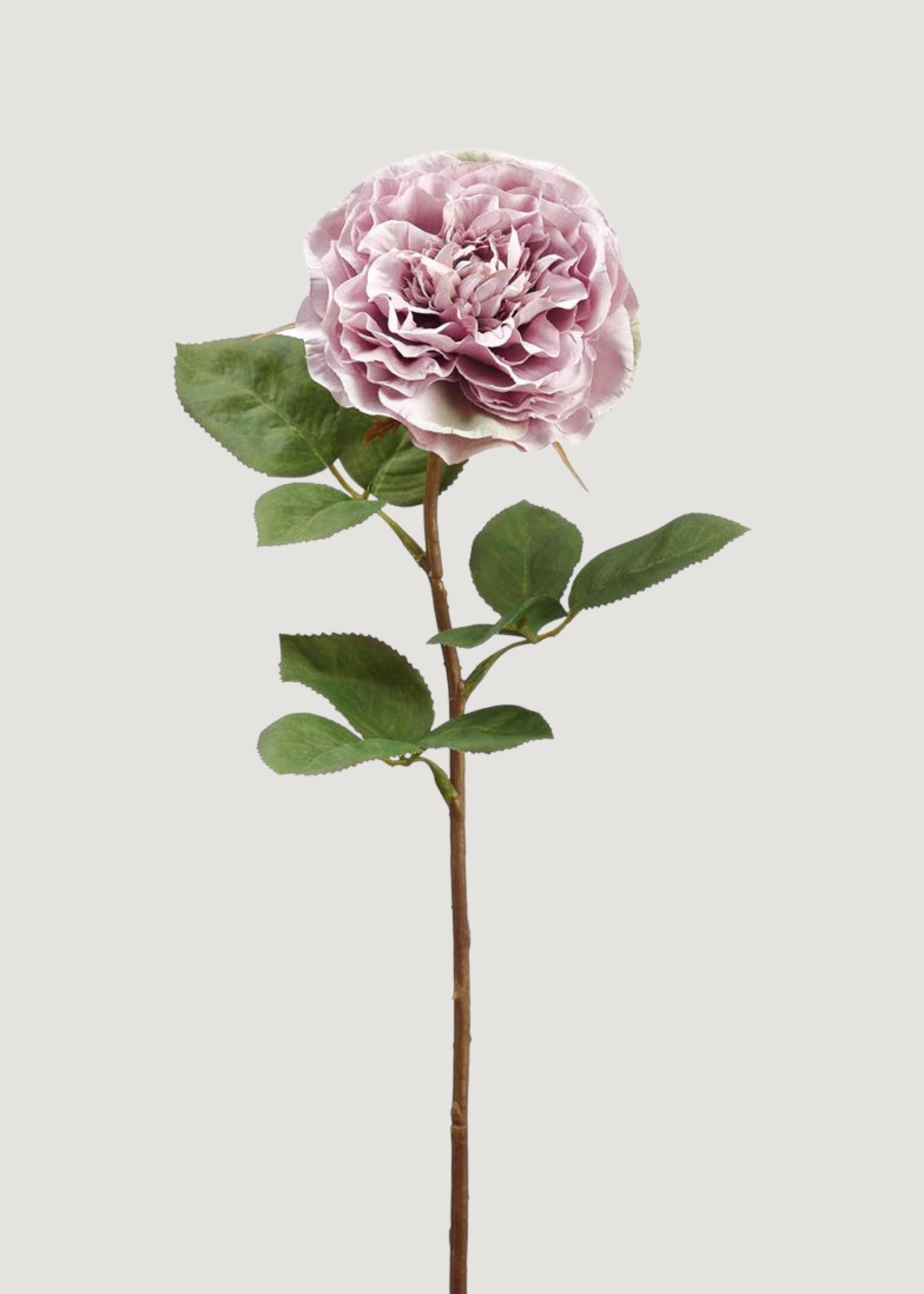 Lavender Artificial Cabbage Rose Flower