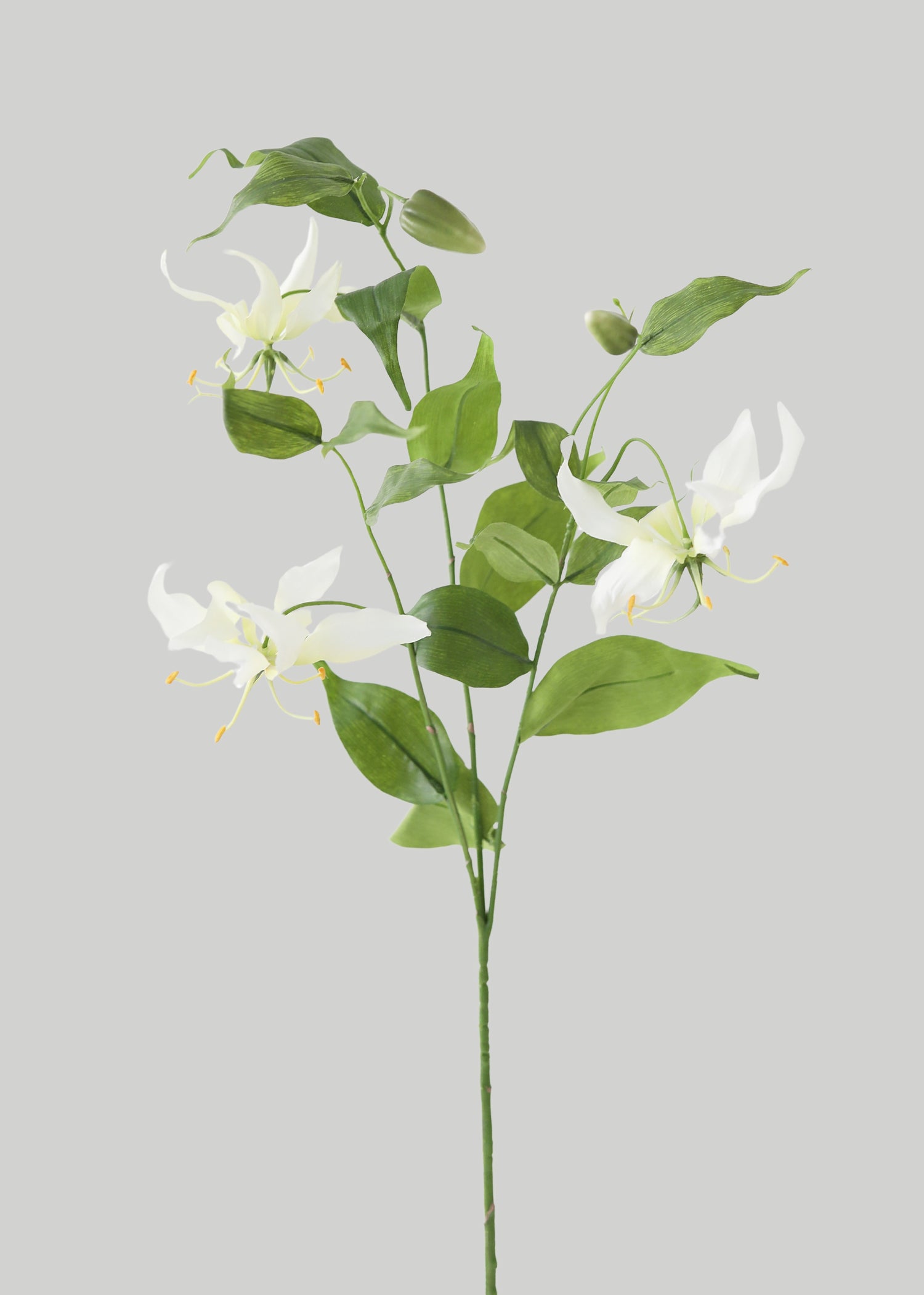 Tropical Fake Gloriosa Lily