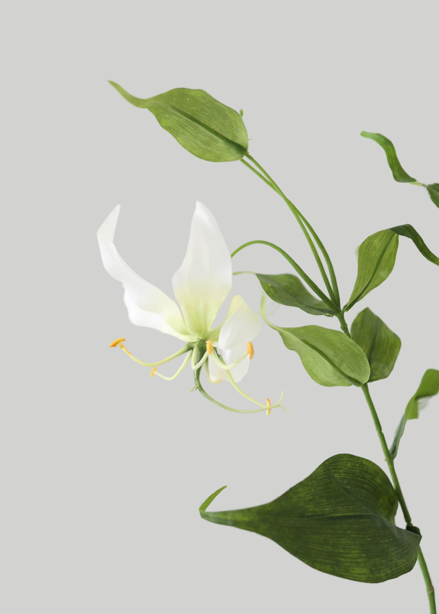 White Fake Gloriosa Lily