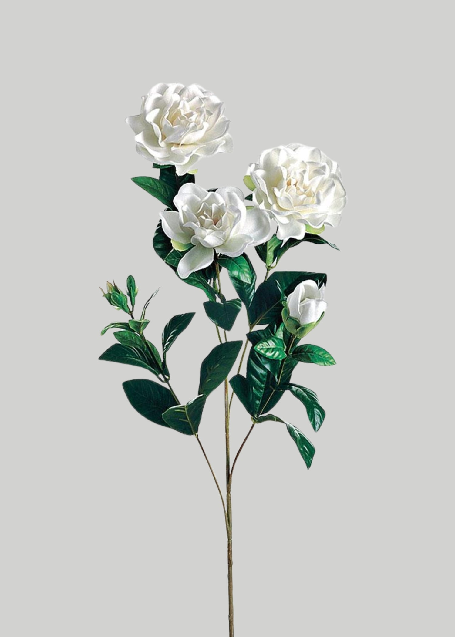 Artificial Gardenia Flowers