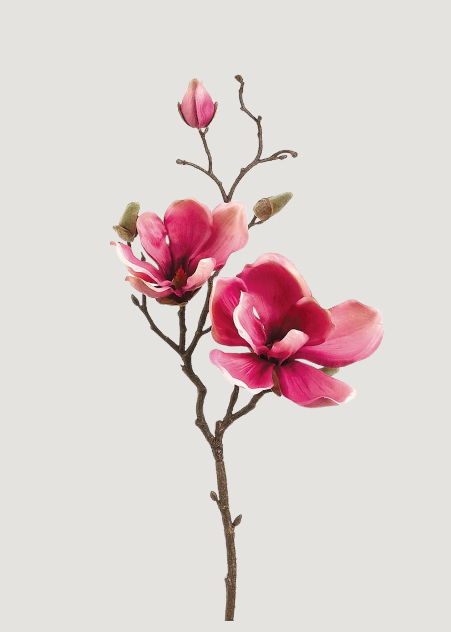 Pink Artificial Magnolia Stem