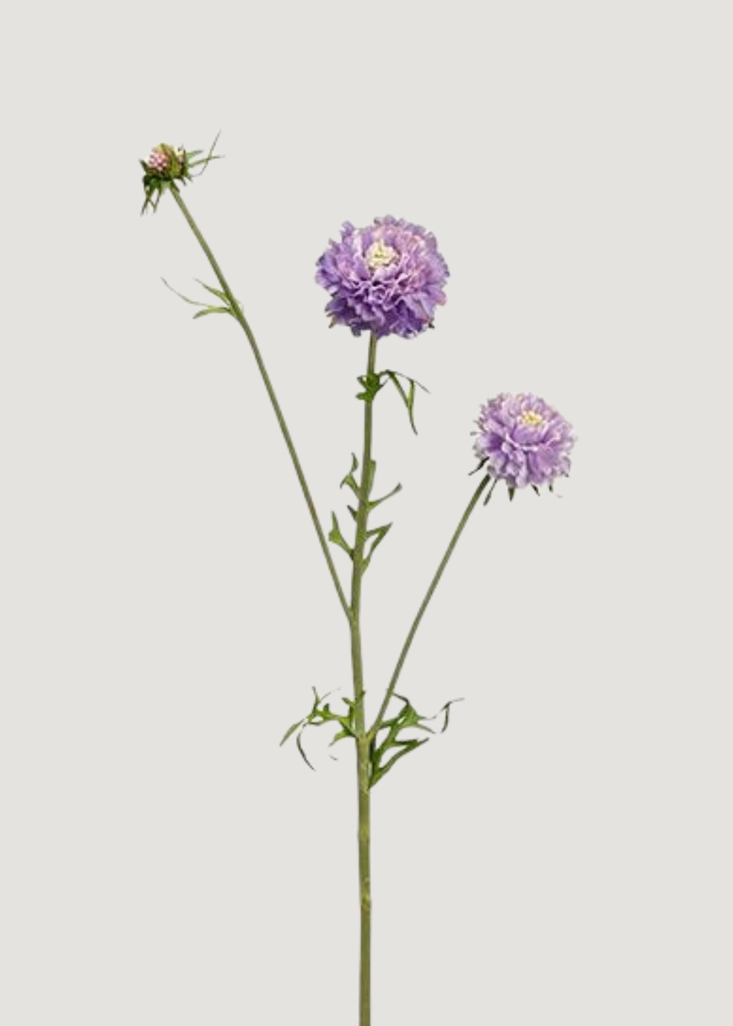 Lavender Artificial Scabiosa