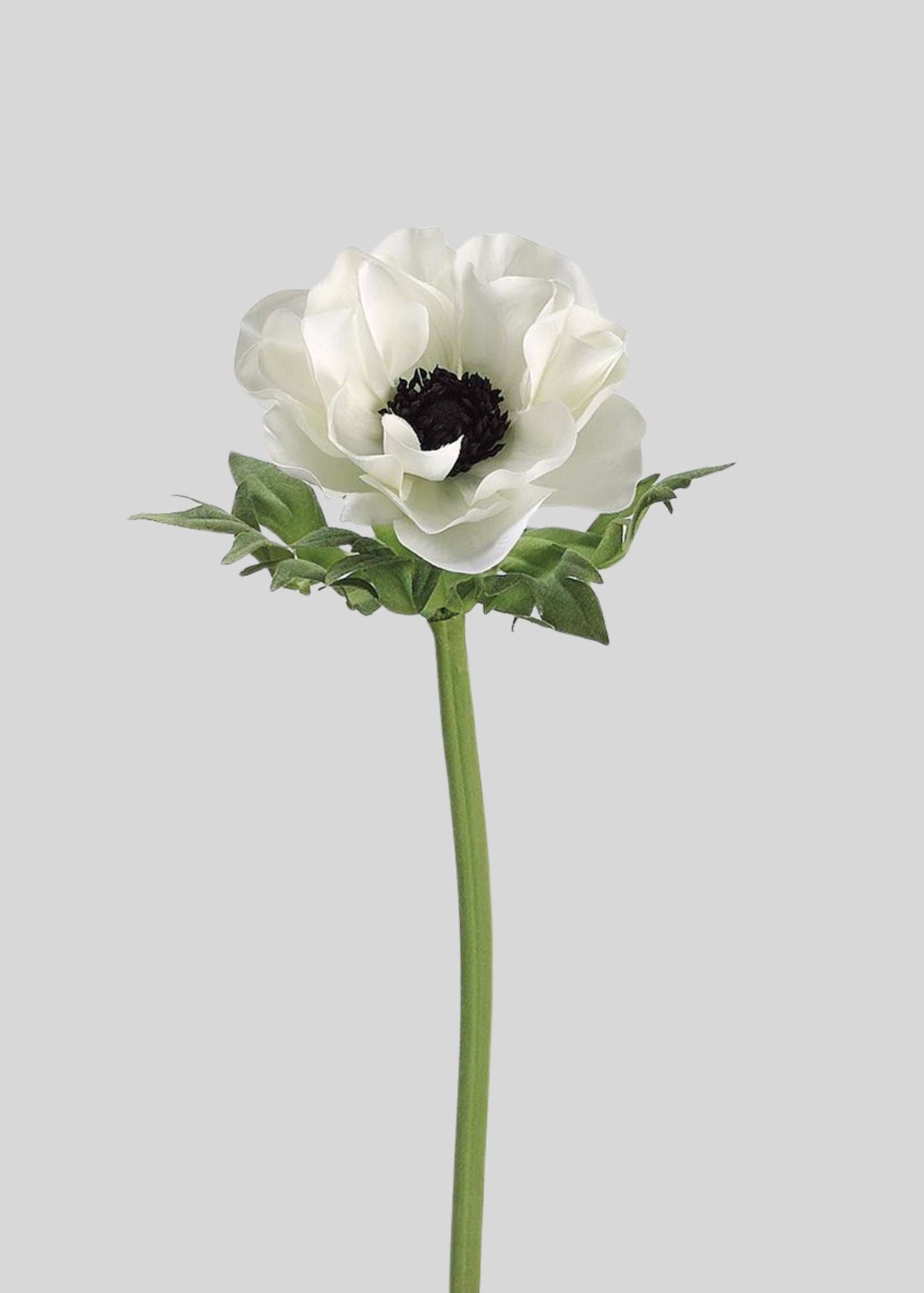 Artificial Cream Anemone