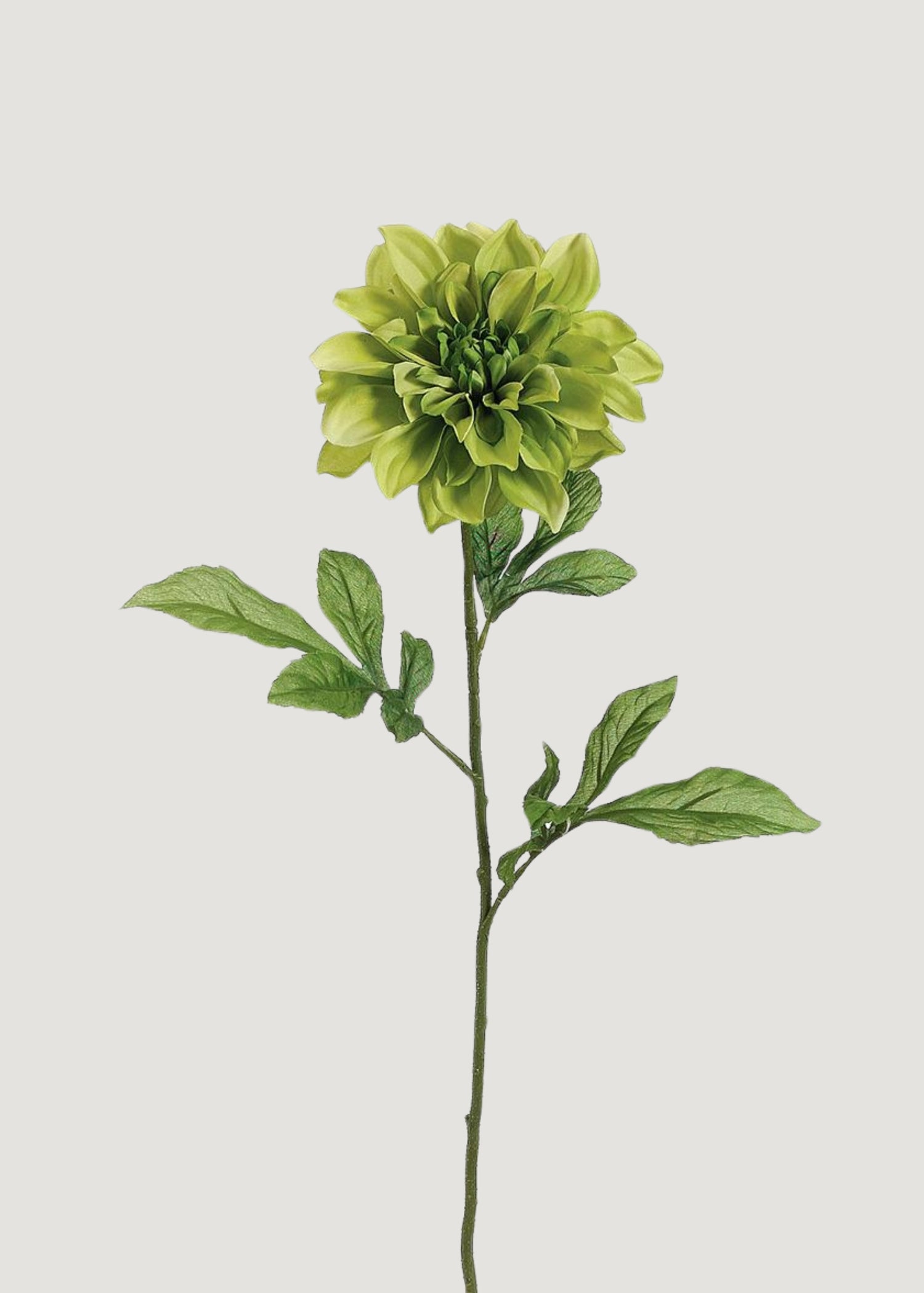 Artificial Dahlia Flower in Green
