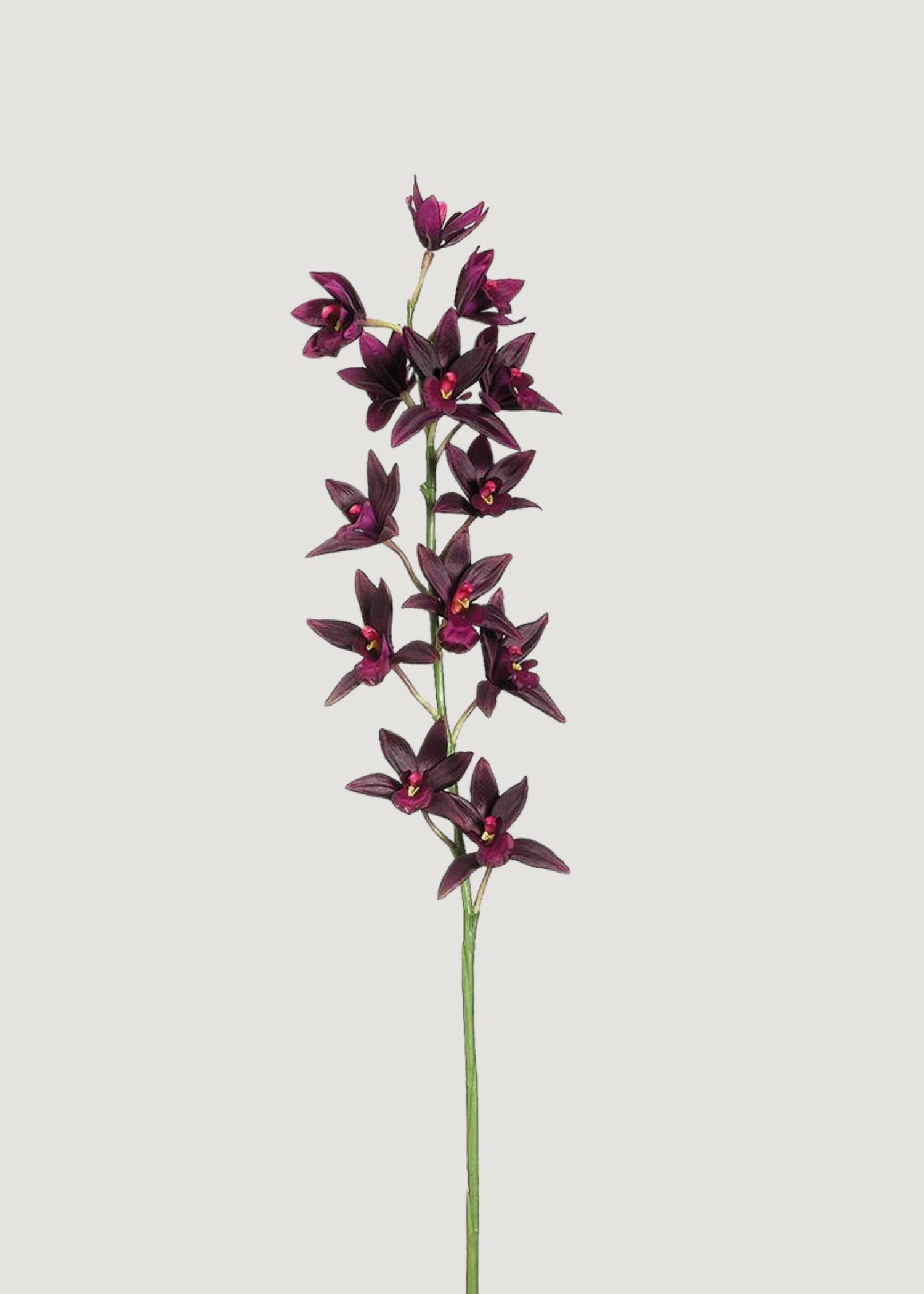 Artificial Cymbidium Orchid in Plum