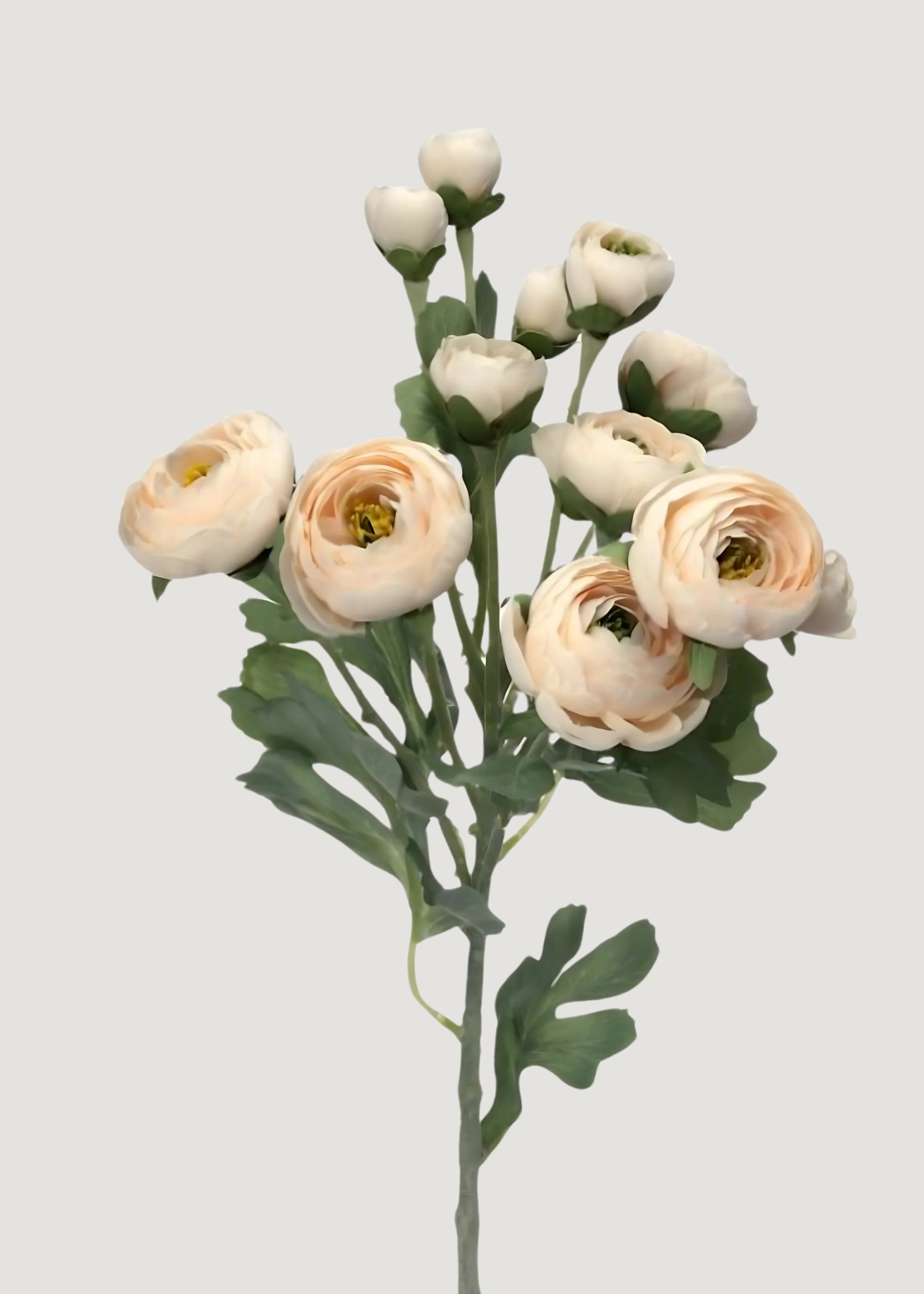 Close-up Artificial Ranunculus in Blush